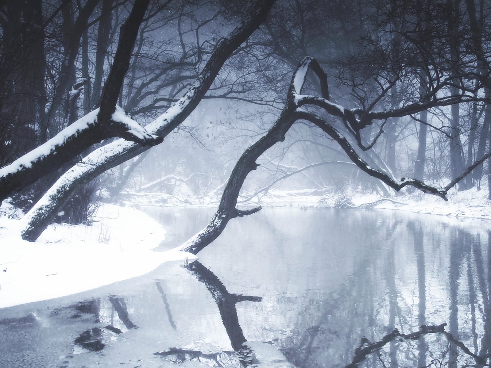 Скачать картинку Зима, Река, Дерево, Земля/природа в телефон бесплатно.