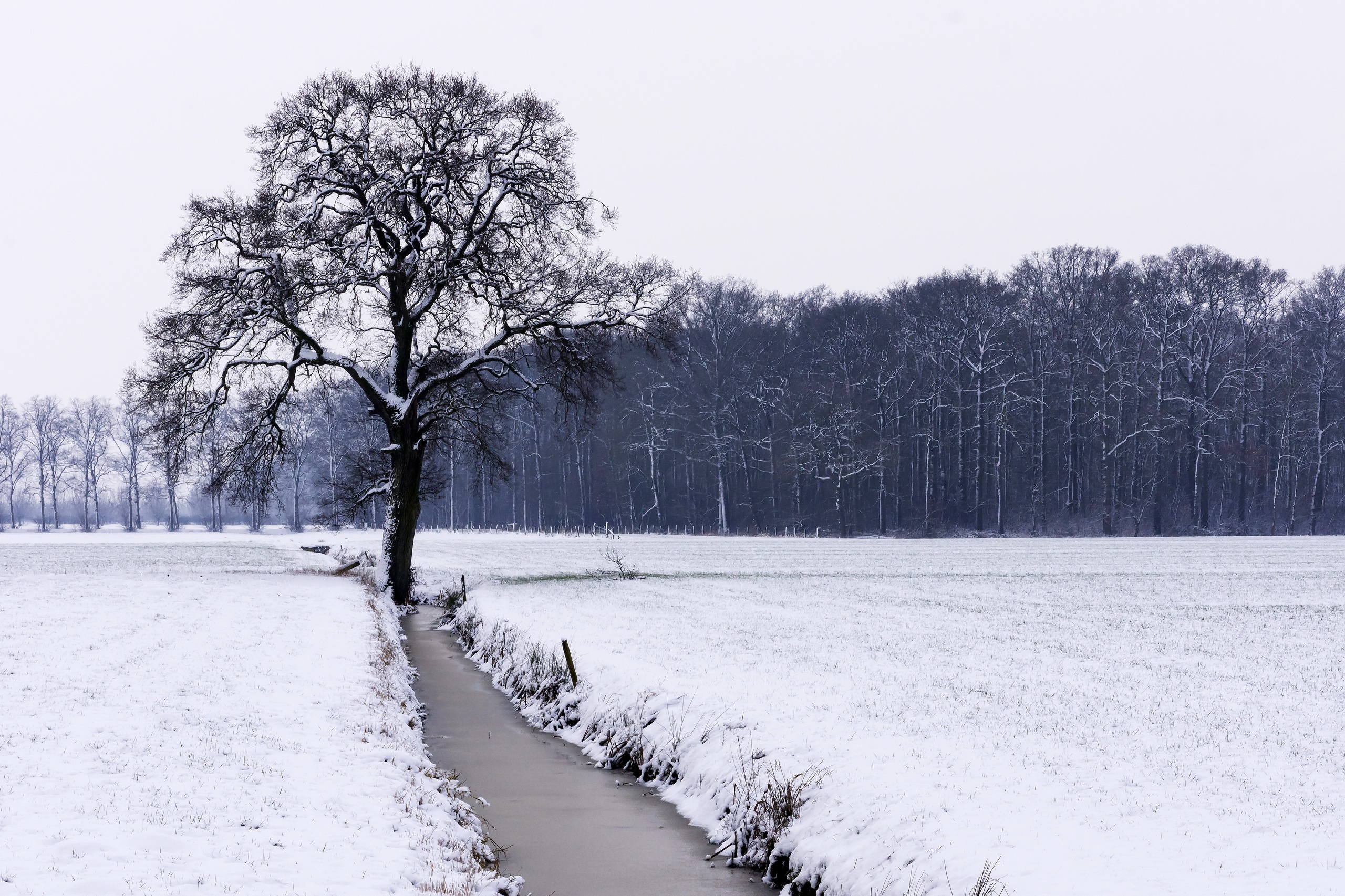 Download mobile wallpaper Winter, Nature, Snow, Tree, Earth, Stream for free.