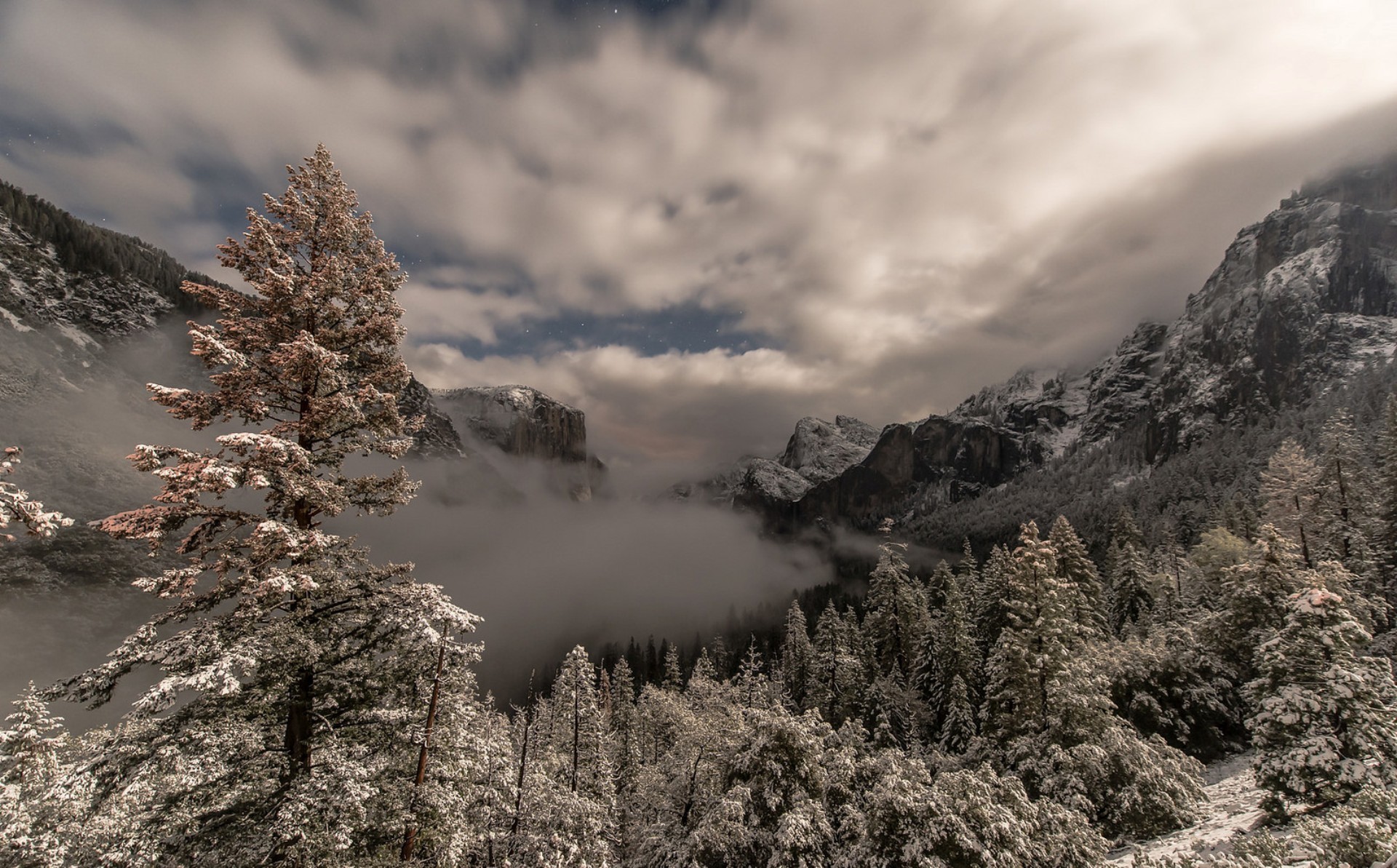 Скачать обои бесплатно Зима, Природа, Гора, Лес, Туман, Ландшафт, Земля/природа картинка на рабочий стол ПК