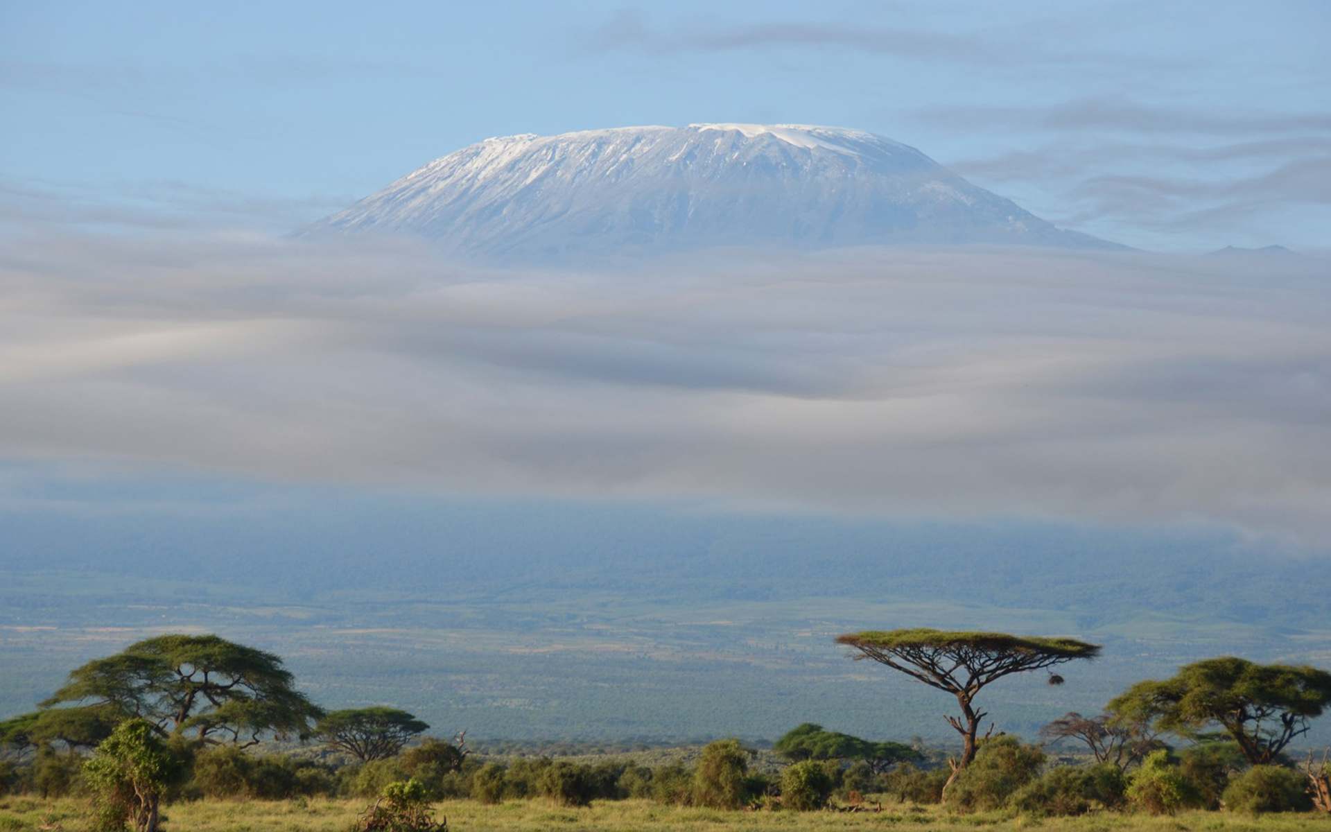 Télécharger des fonds d'écran Le Mont Kilimanjaro HD