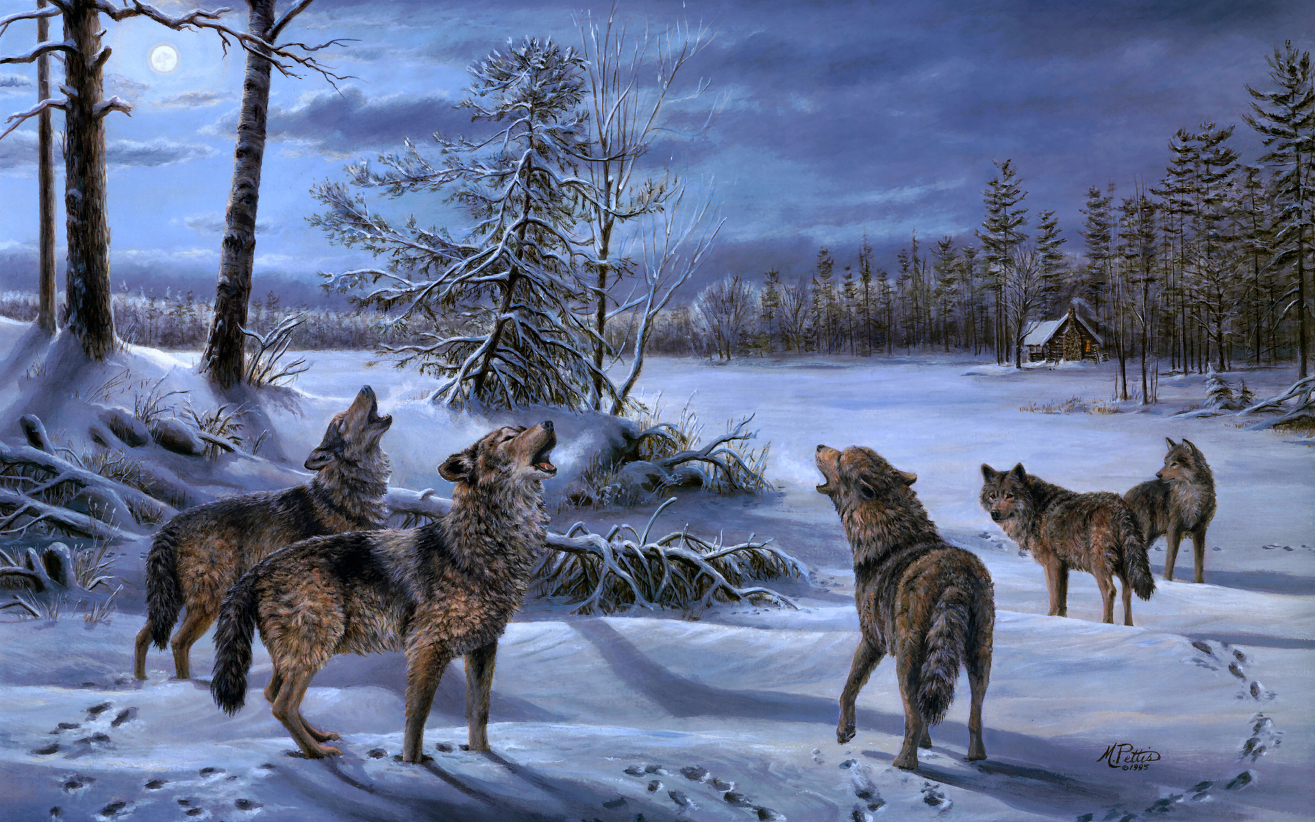 Скачать картинку Волки, Волк, Зима, Животные в телефон бесплатно.