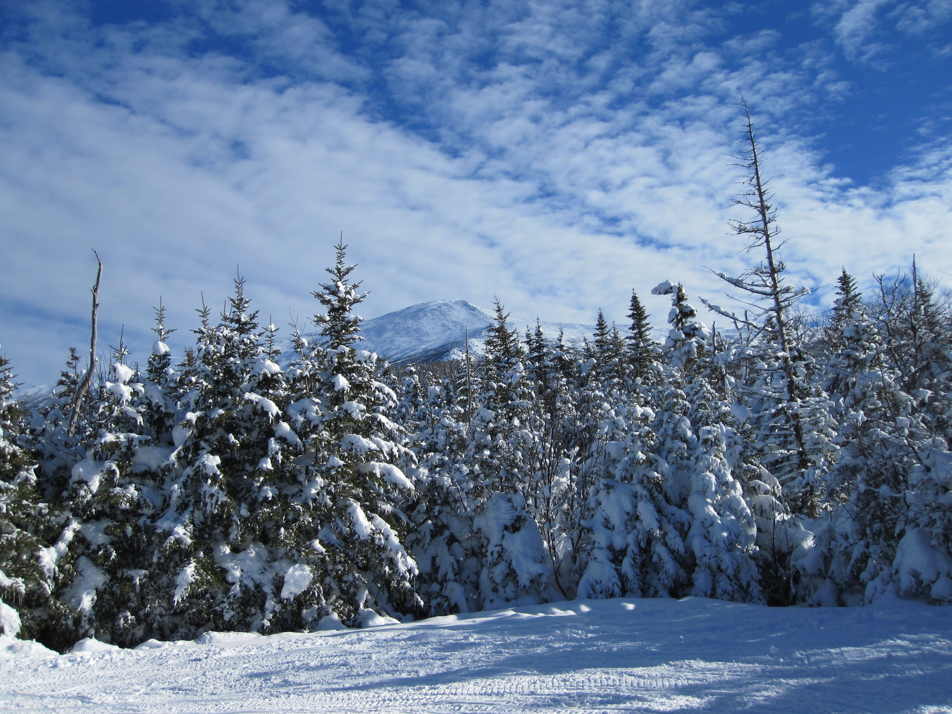 Скачать обои бесплатно Зима, Природа, Снег, Лес, Земля/природа картинка на рабочий стол ПК