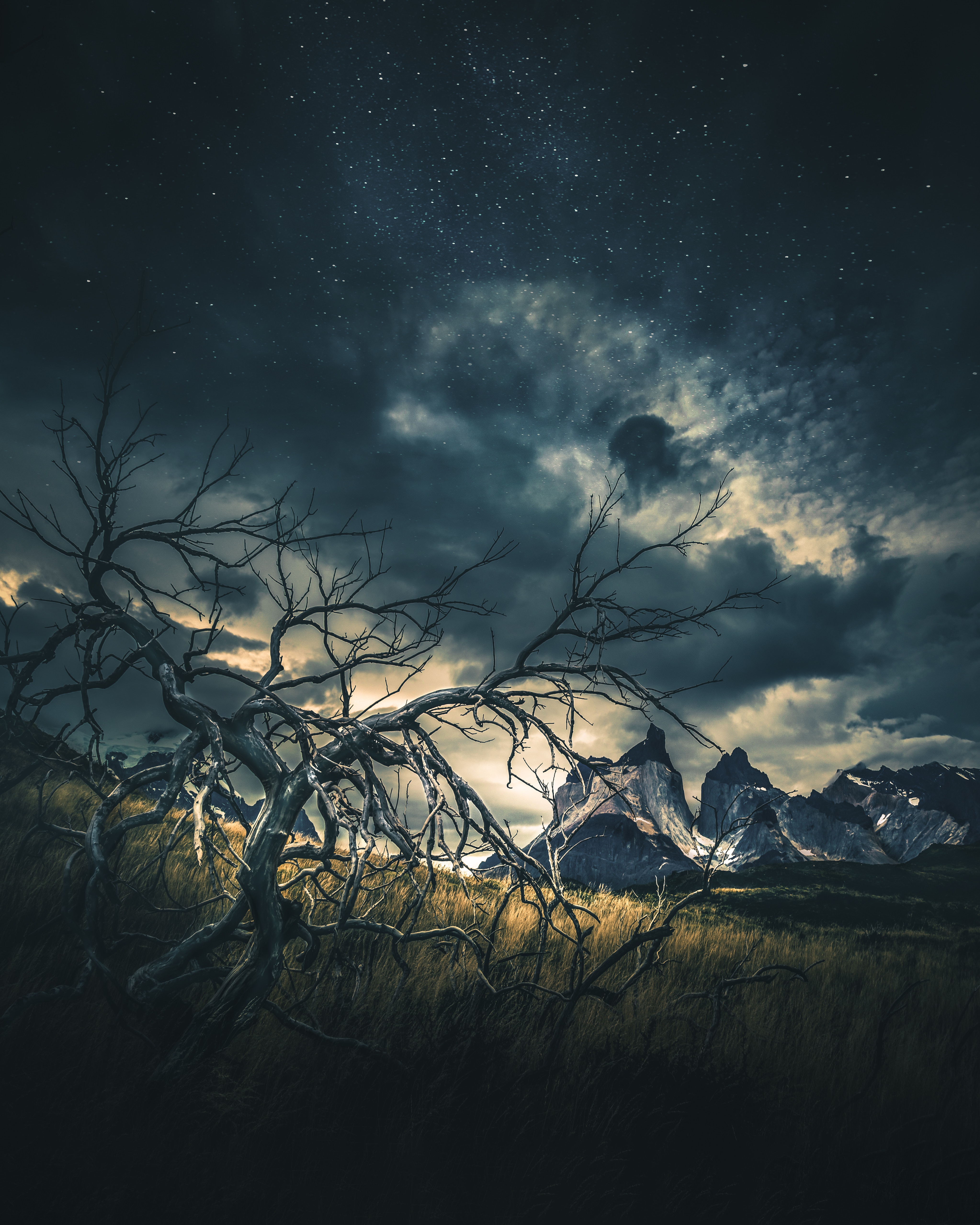 Free download wallpaper Nature, Grass, Tree, Mountains, Wood, Starry Sky on your PC desktop