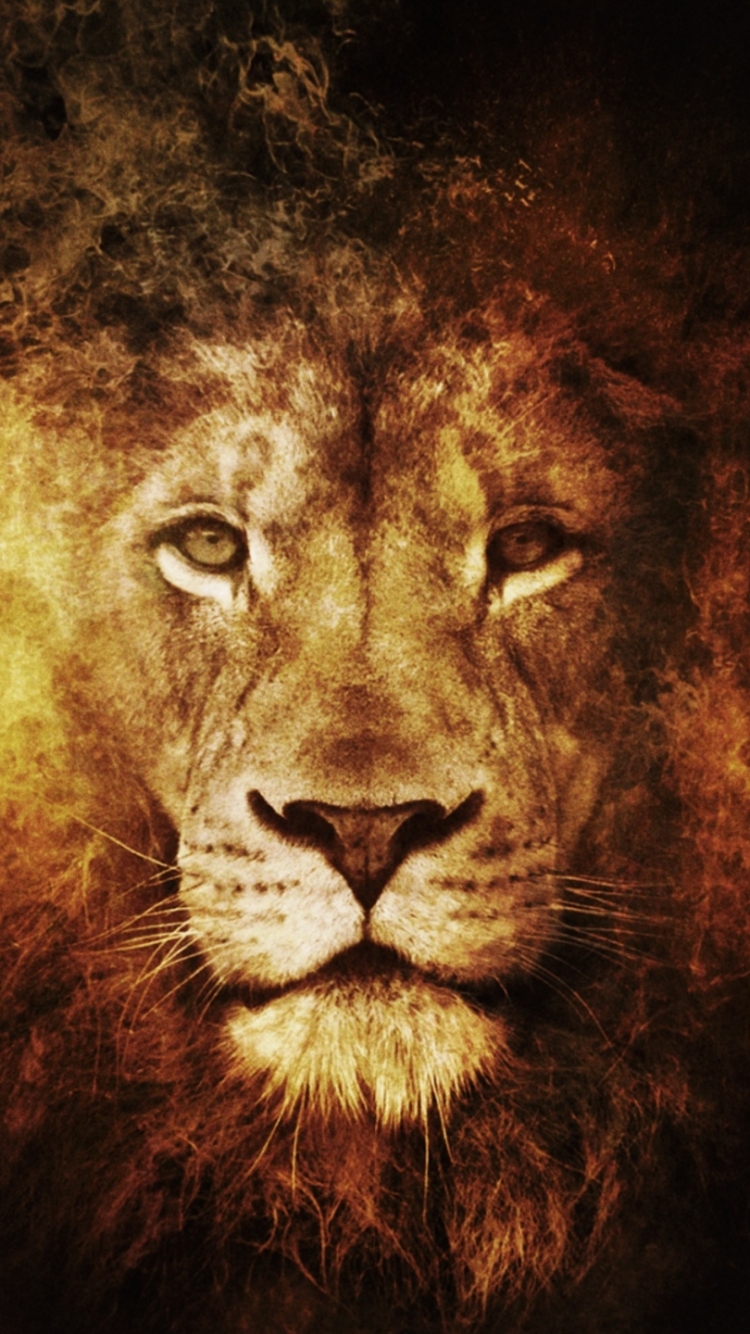 Download mobile wallpaper Cats, Lion, Animal for free.