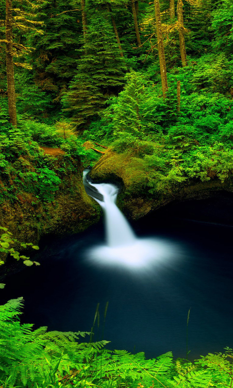 無料モバイル壁紙滝, 森, 地球, オレゴン, パンチボウル滝をダウンロードします。
