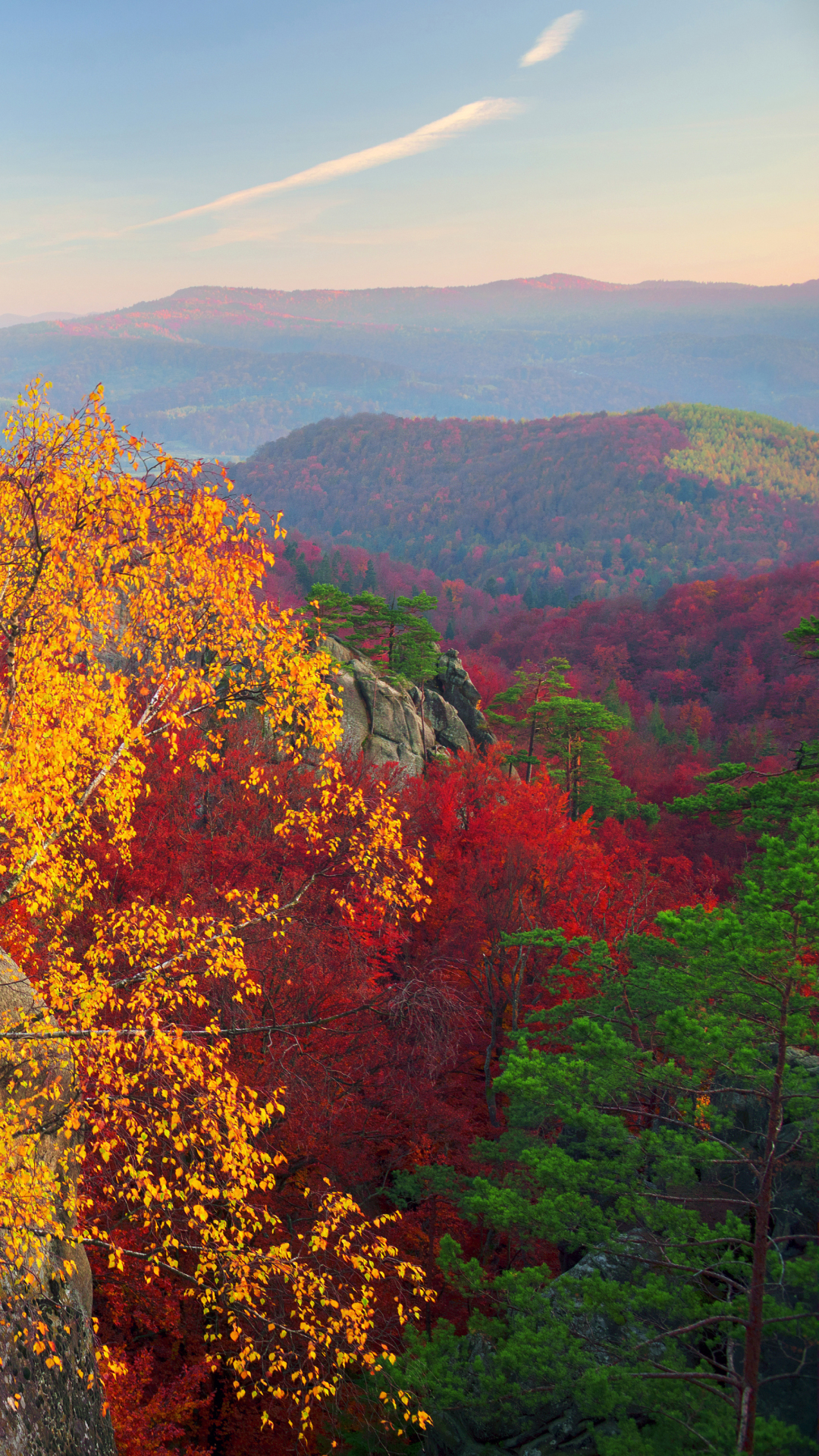 Handy-Wallpaper Herbst, Berg, Wald, Gebirge, Erde/natur kostenlos herunterladen.