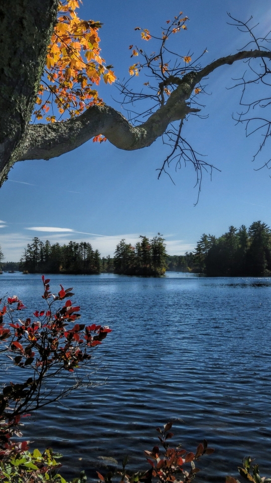 Téléchargez des papiers peints mobile Lac, Des Lacs, Terre/nature gratuitement.