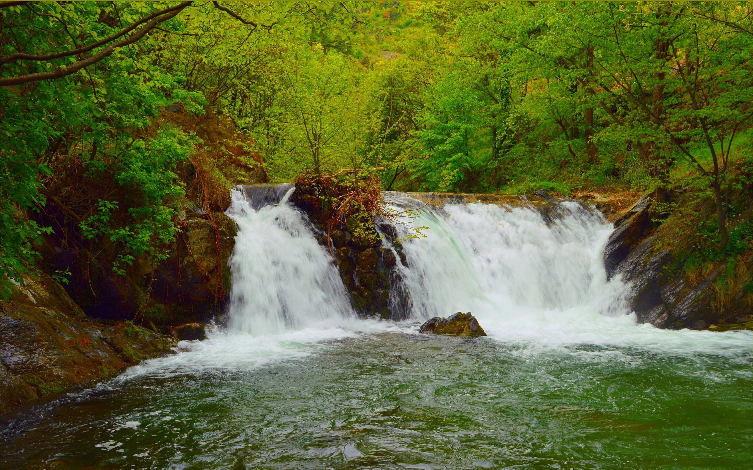 Скачать обои бесплатно Водопады, Водопад, Лес, Весна, Земля/природа картинка на рабочий стол ПК