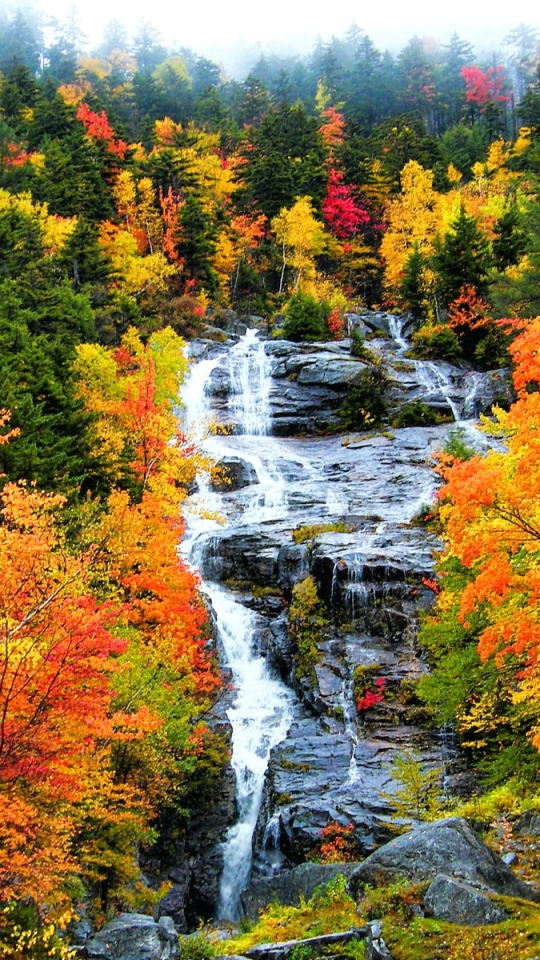 Скачать картинку Осень, Водопады, Водопад, Лес, Земля, Падать, Земля/природа в телефон бесплатно.