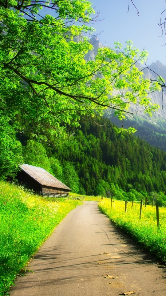Download mobile wallpaper Forest, Tree, Path, Spring, Cabin, Man Made for free.