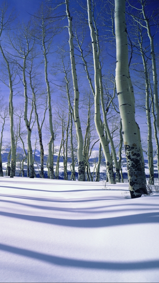 Download mobile wallpaper Winter, Earth for free.