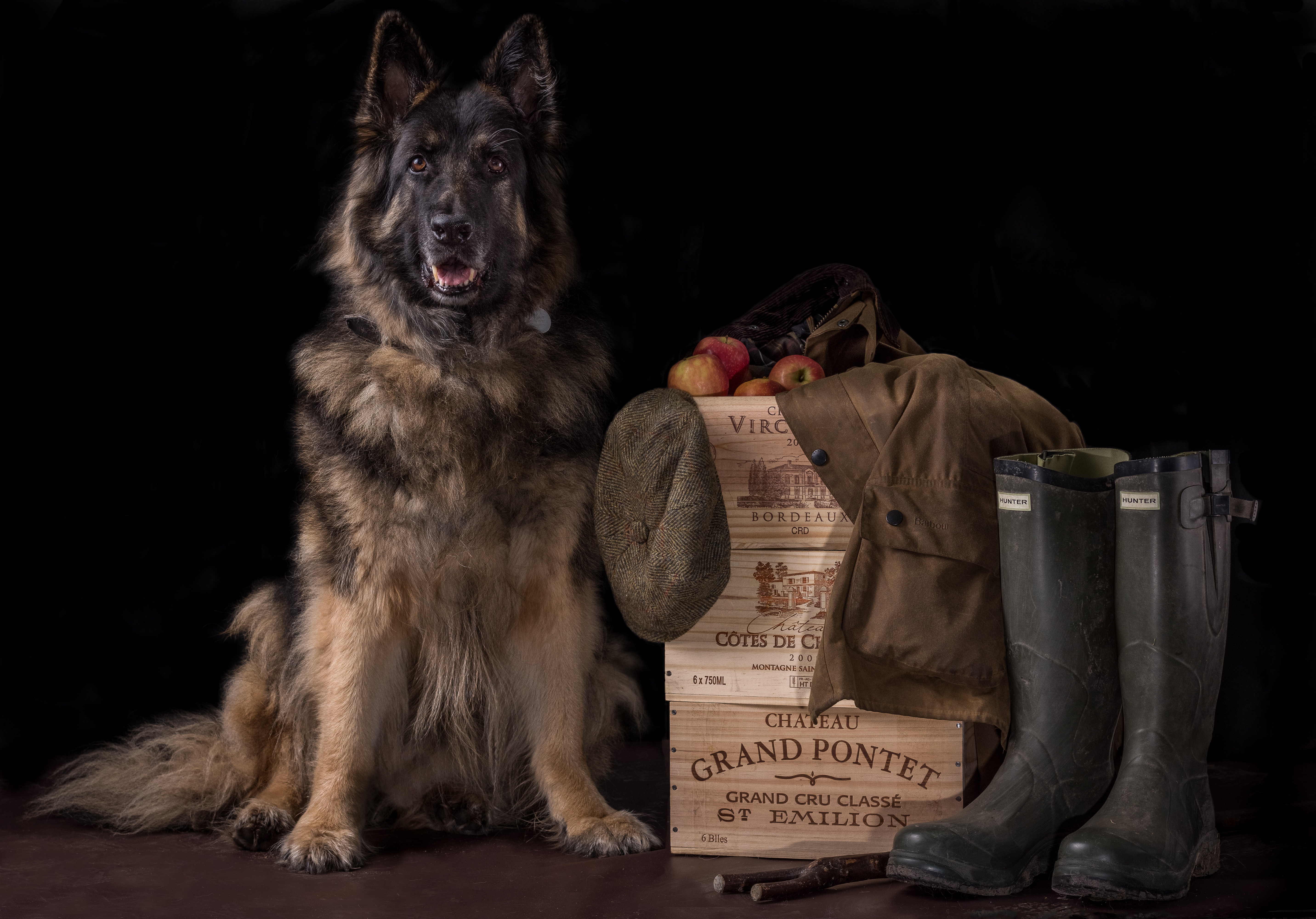 Handy-Wallpaper Tiere, Hunde, Hund, Schäferhund kostenlos herunterladen.