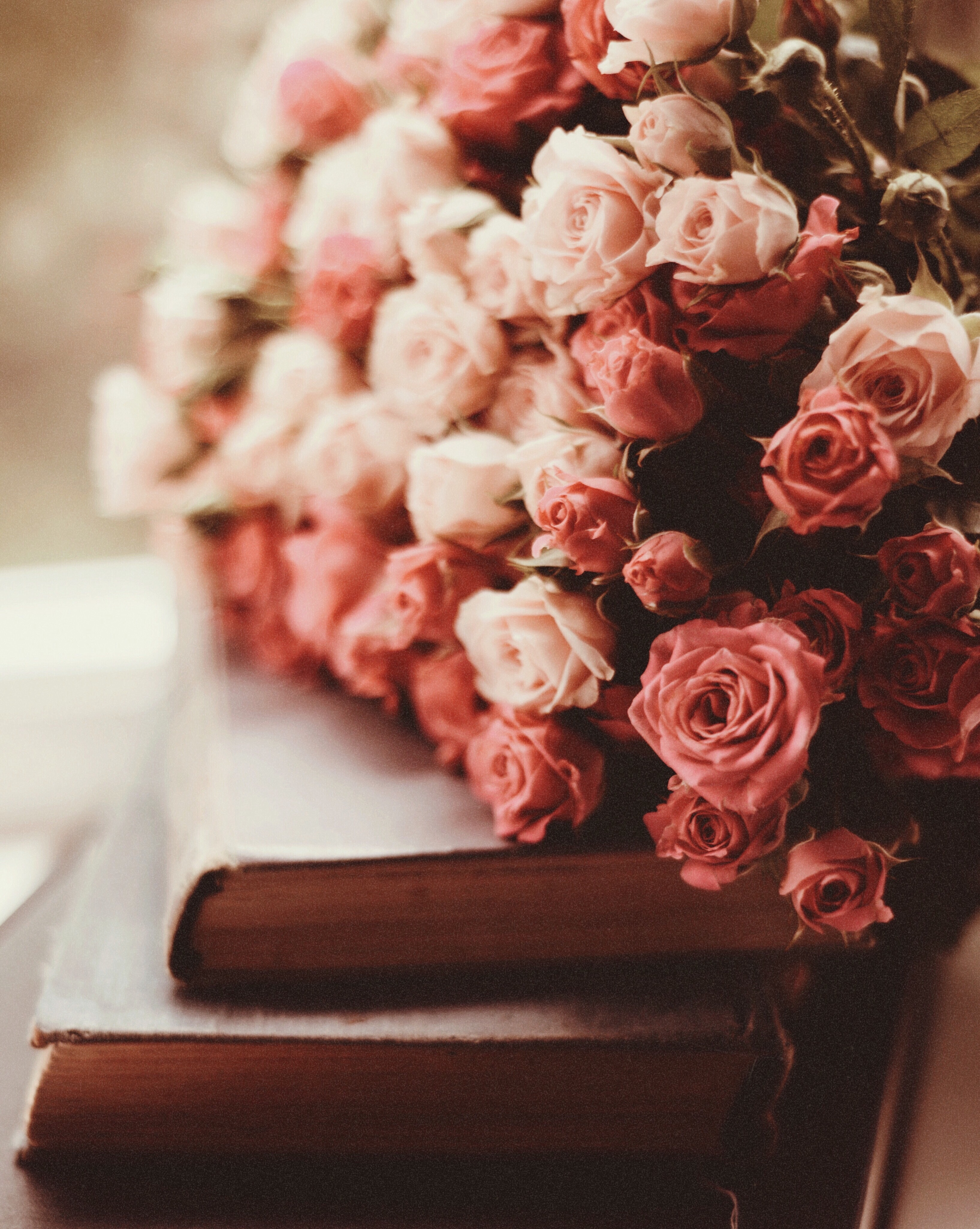 Free download wallpaper Flowers, Bouquet, Pink, Roses, Books on your PC desktop
