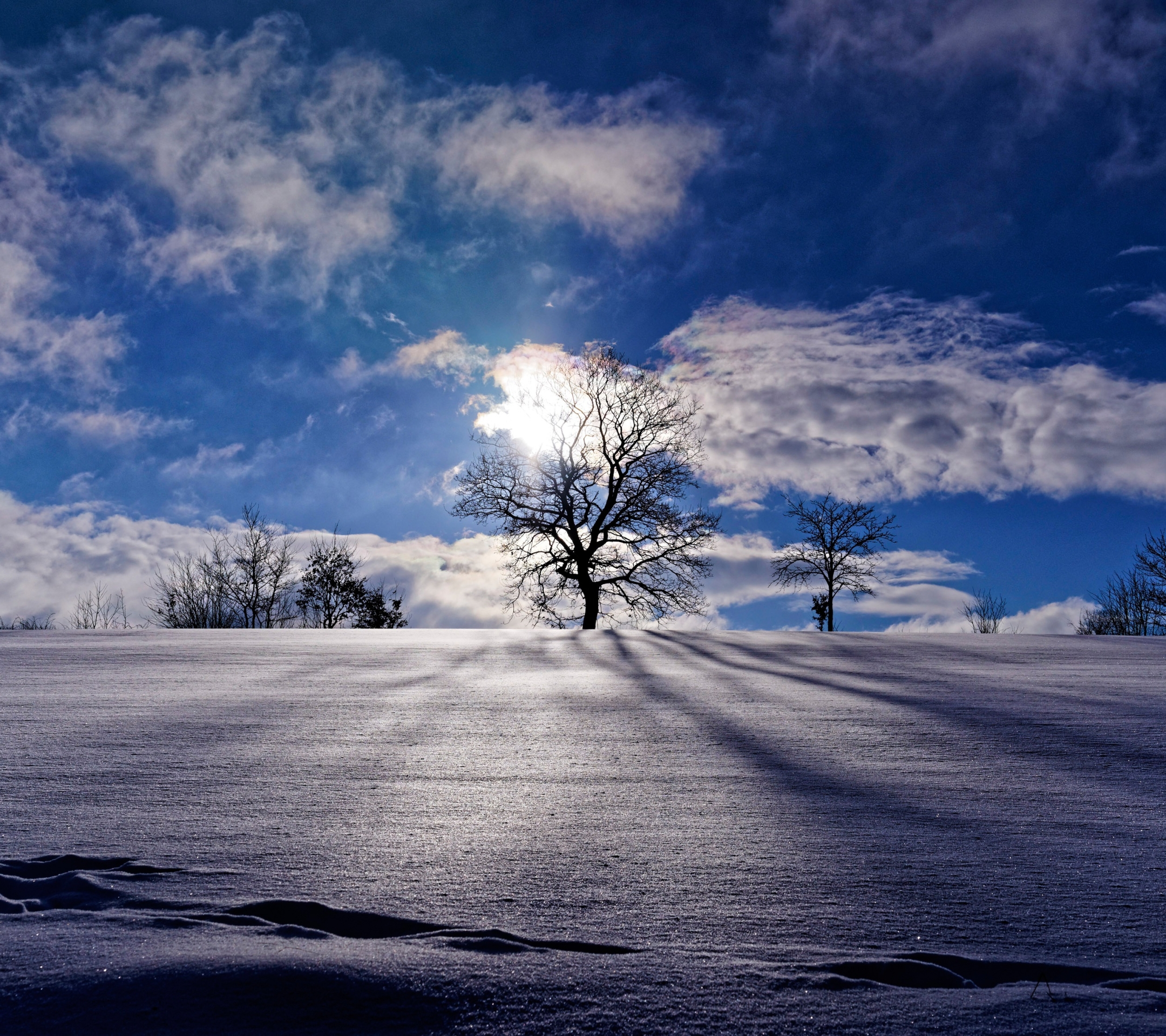 Download mobile wallpaper Winter, Nature, Sky, Snow, Tree, Earth for free.