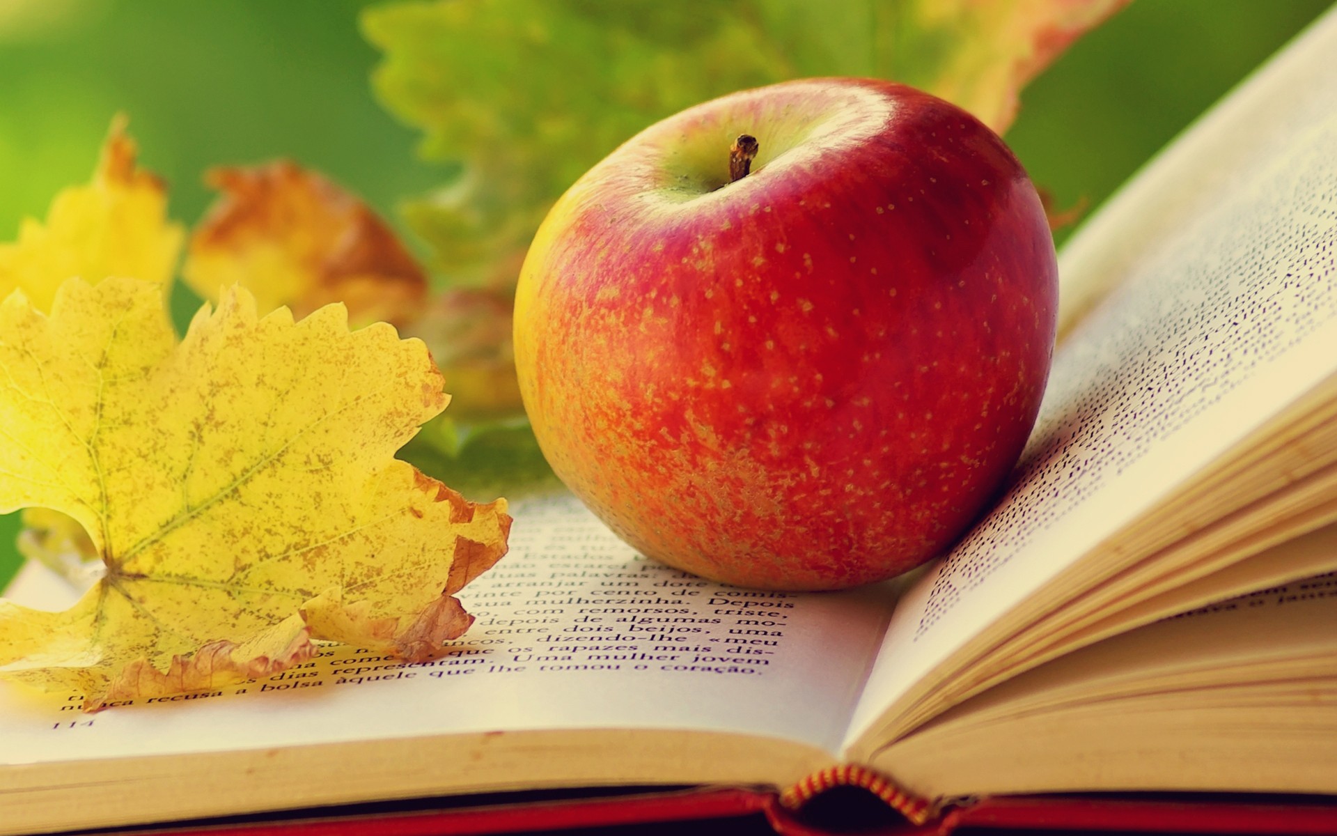 Free download wallpaper Fruits, Food, Apple, Fruit, Book on your PC desktop