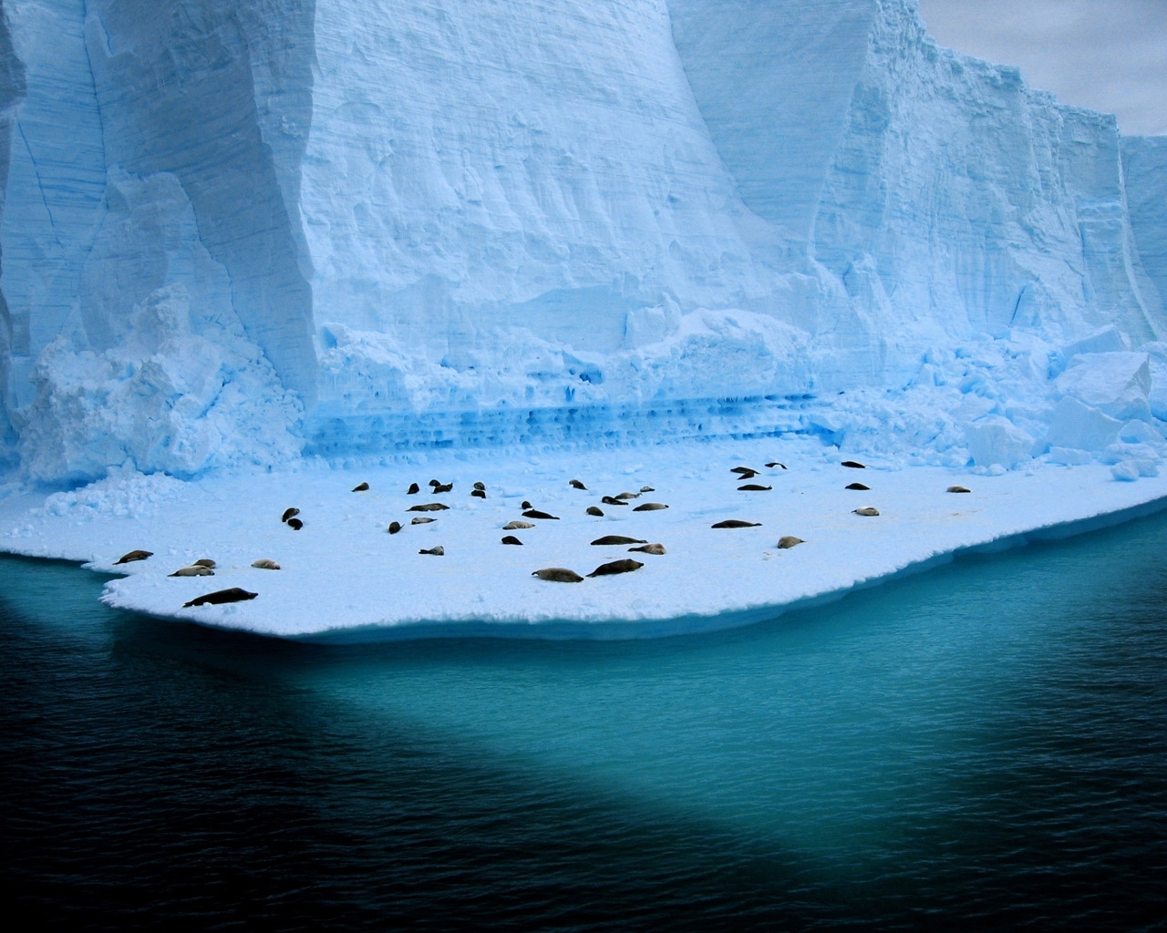 Скачати мобільні шпалери Пейзаж, Антарктида Арктика, Зима безкоштовно.