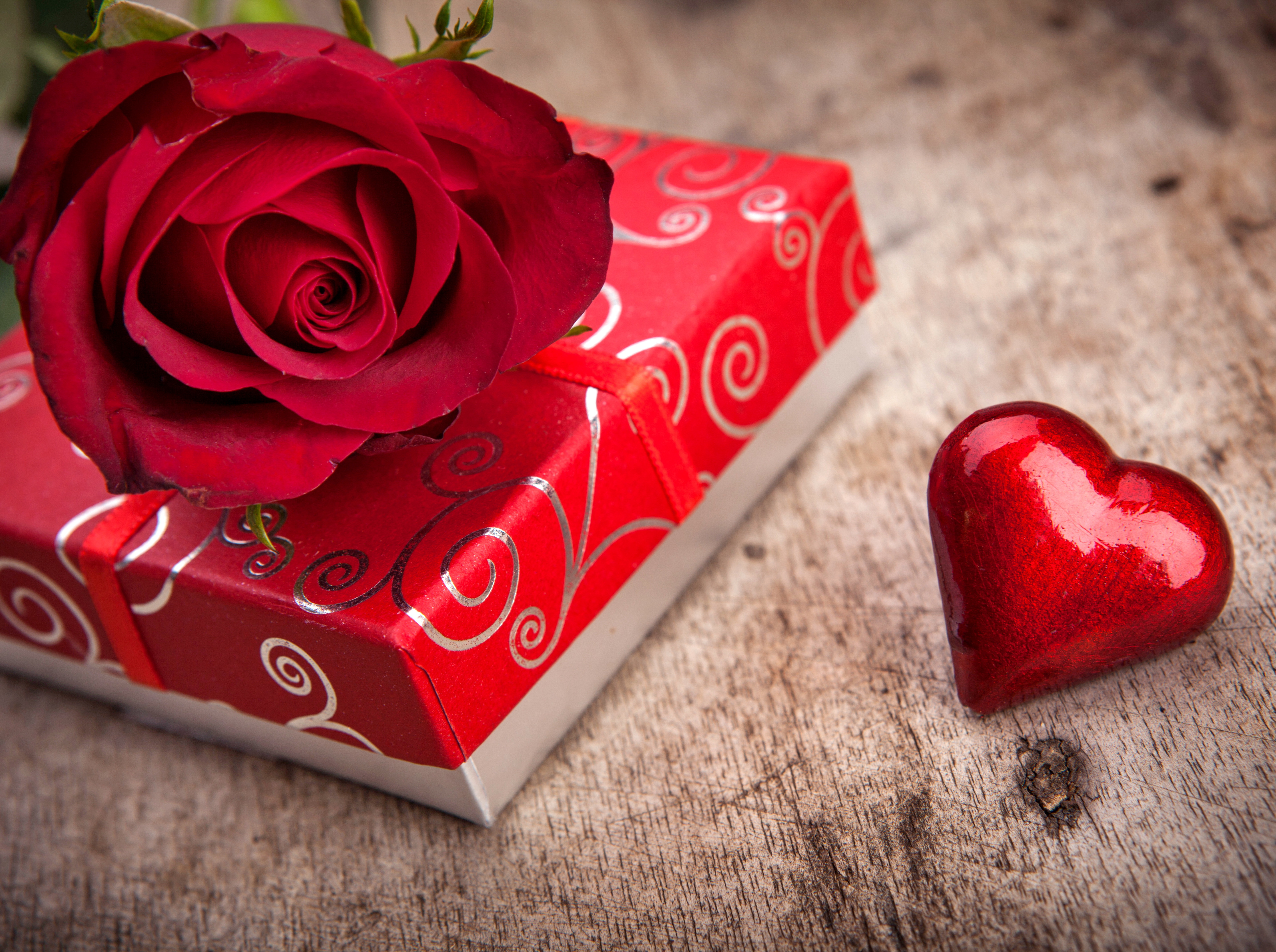 Free download wallpaper Love, Rose, Gift, Heart, Photography on your PC desktop