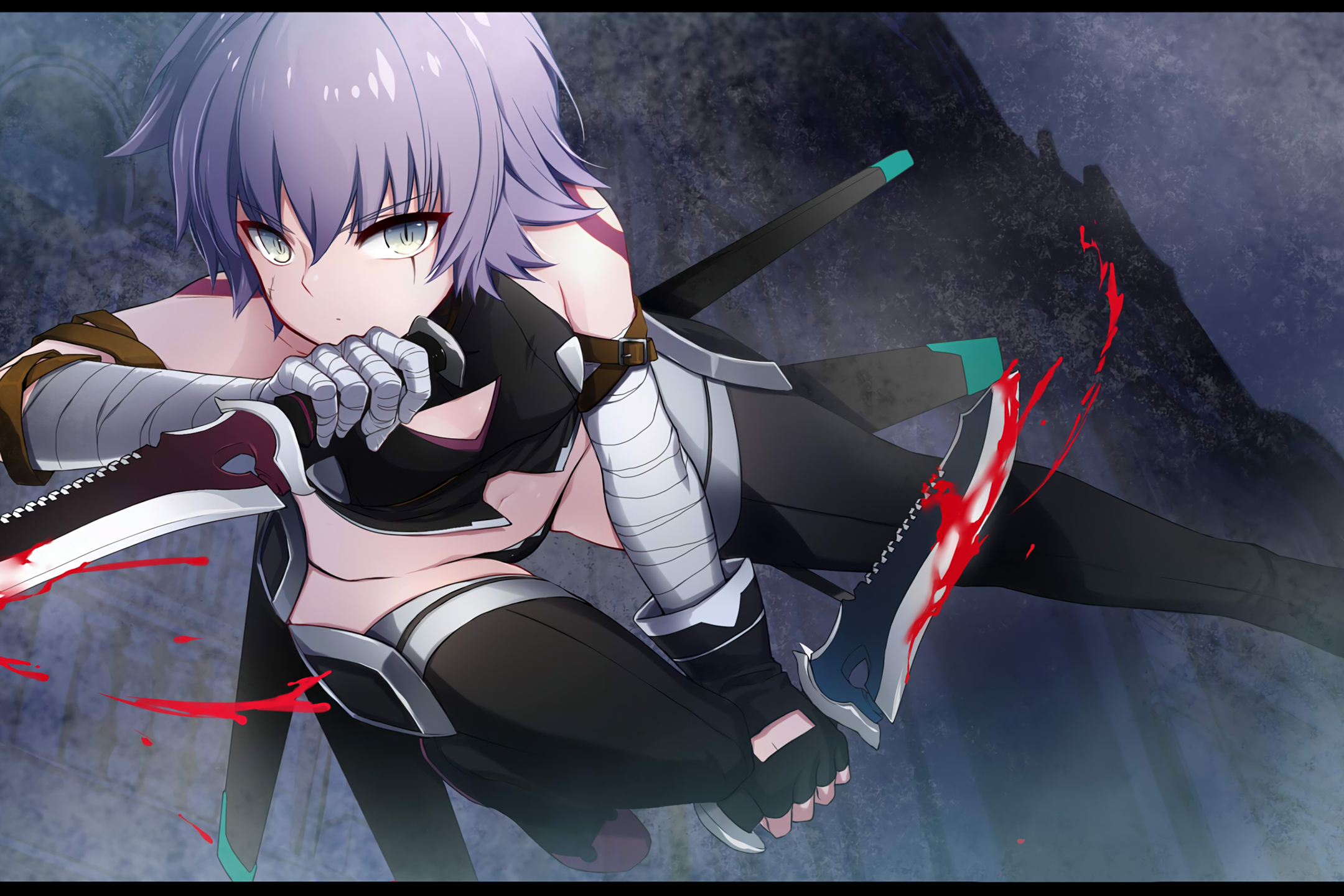 anime, fate/grand order, assassin of black (fate/apocrypha), fate series