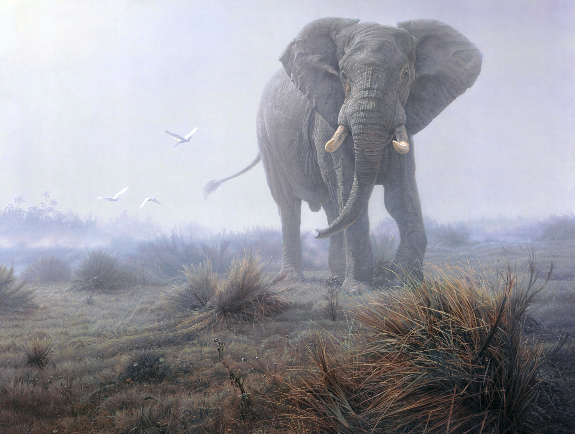 244854 скачать картинку животные, художественный, слон - обои и заставки бесплатно