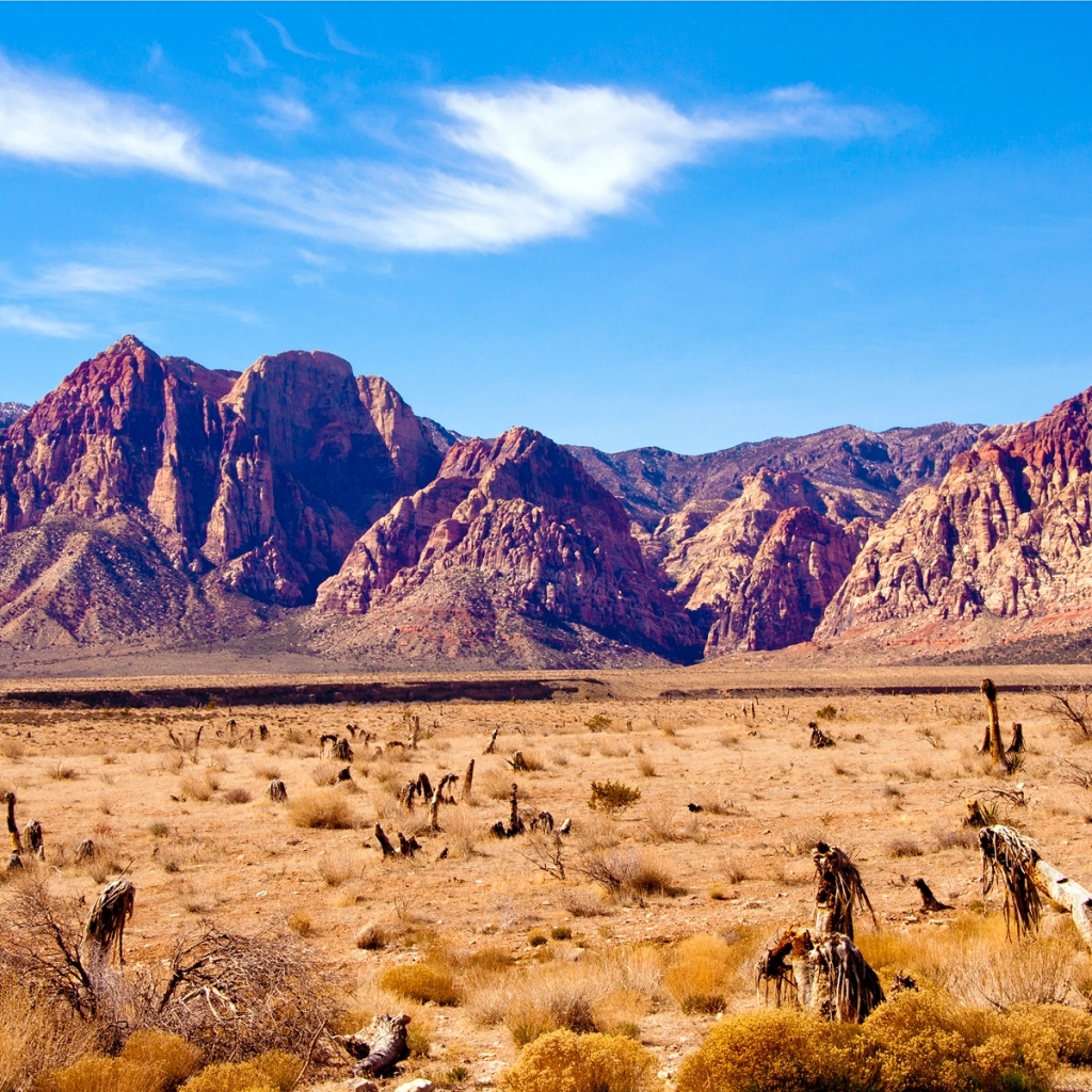 Laden Sie das Steppe, Erde/natur-Bild kostenlos auf Ihren PC-Desktop herunter