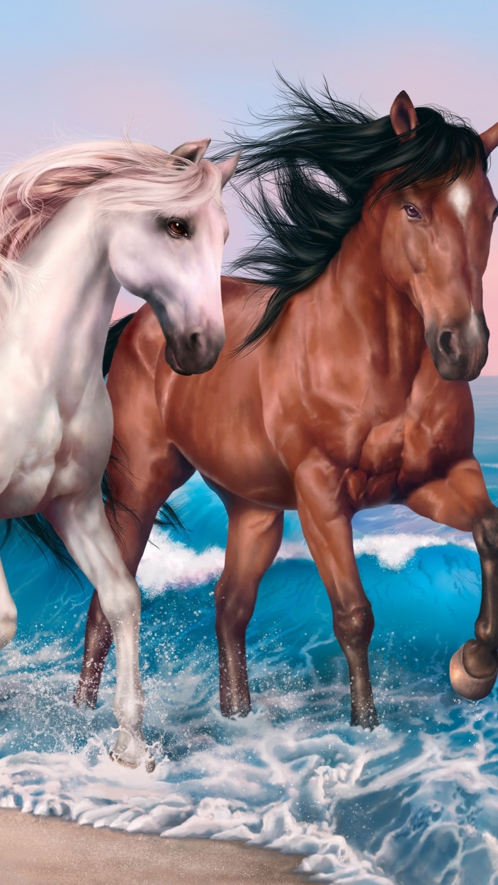 無料モバイル壁紙動物, 馬, 波をダウンロードします。