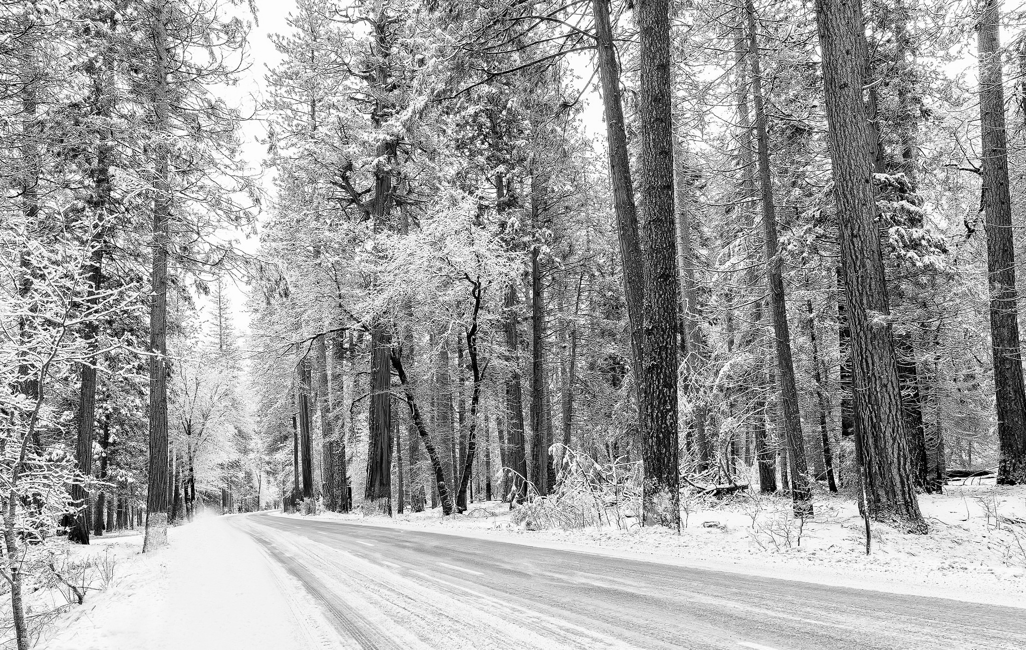 Download mobile wallpaper Winter, Nature, Snow, Road, Forest, Tree, Earth for free.