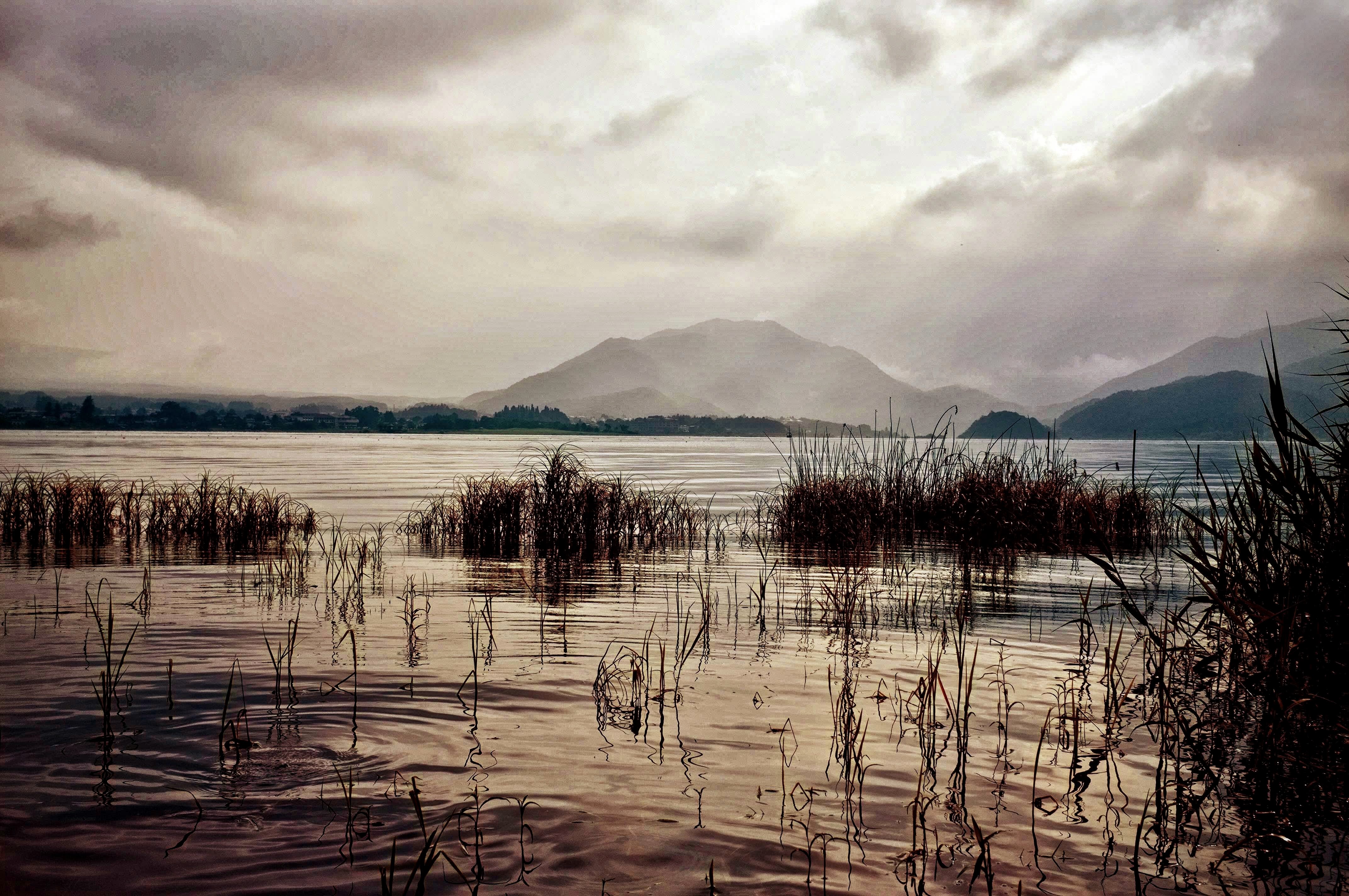 Скачать обои бесплатно Земля/природа, Озеро Кавагути картинка на рабочий стол ПК