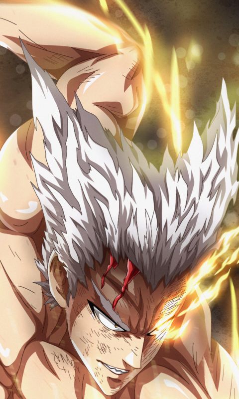 Download mobile wallpaper Anime, One Punch Man, Garou (One Punch Man) for free.