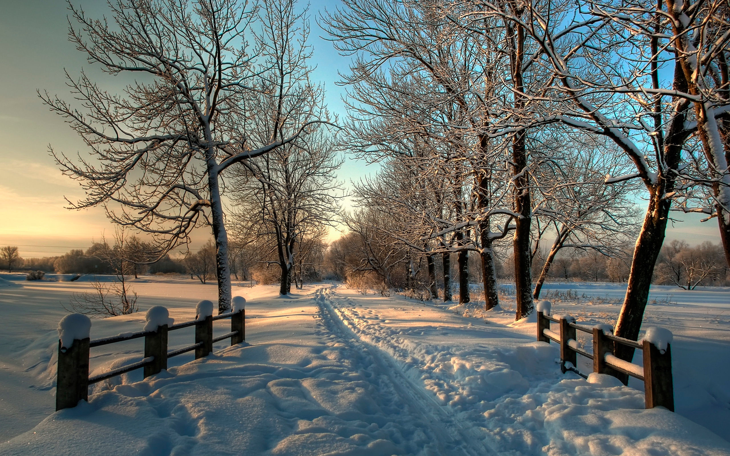 Handy-Wallpaper Winter, Erde/natur kostenlos herunterladen.