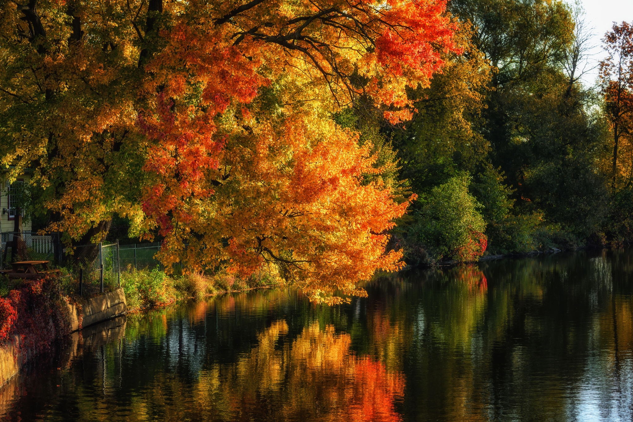 Free download wallpaper Lakes, Lake, Reflection, Tree, Fall, Earth, Photography on your PC desktop