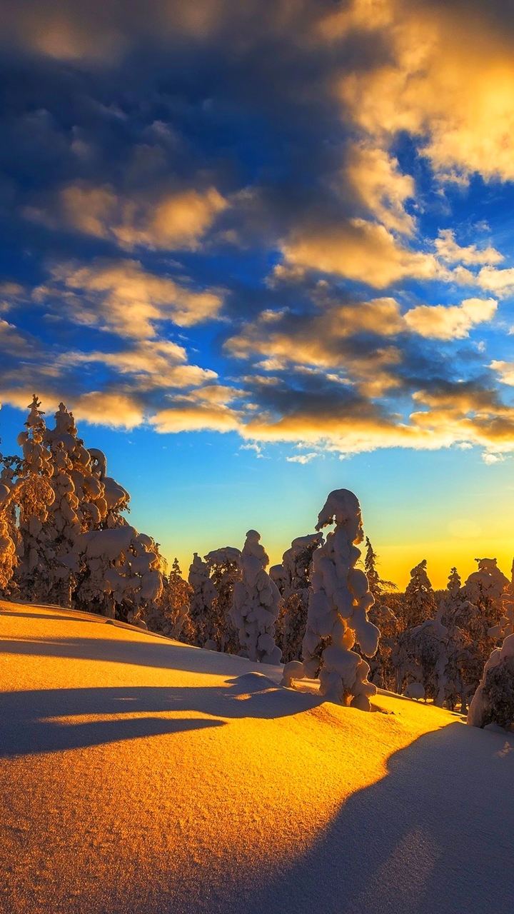 Descarga gratuita de fondo de pantalla para móvil de Invierno, Sol, Nieve, Árbol, Tierra/naturaleza.