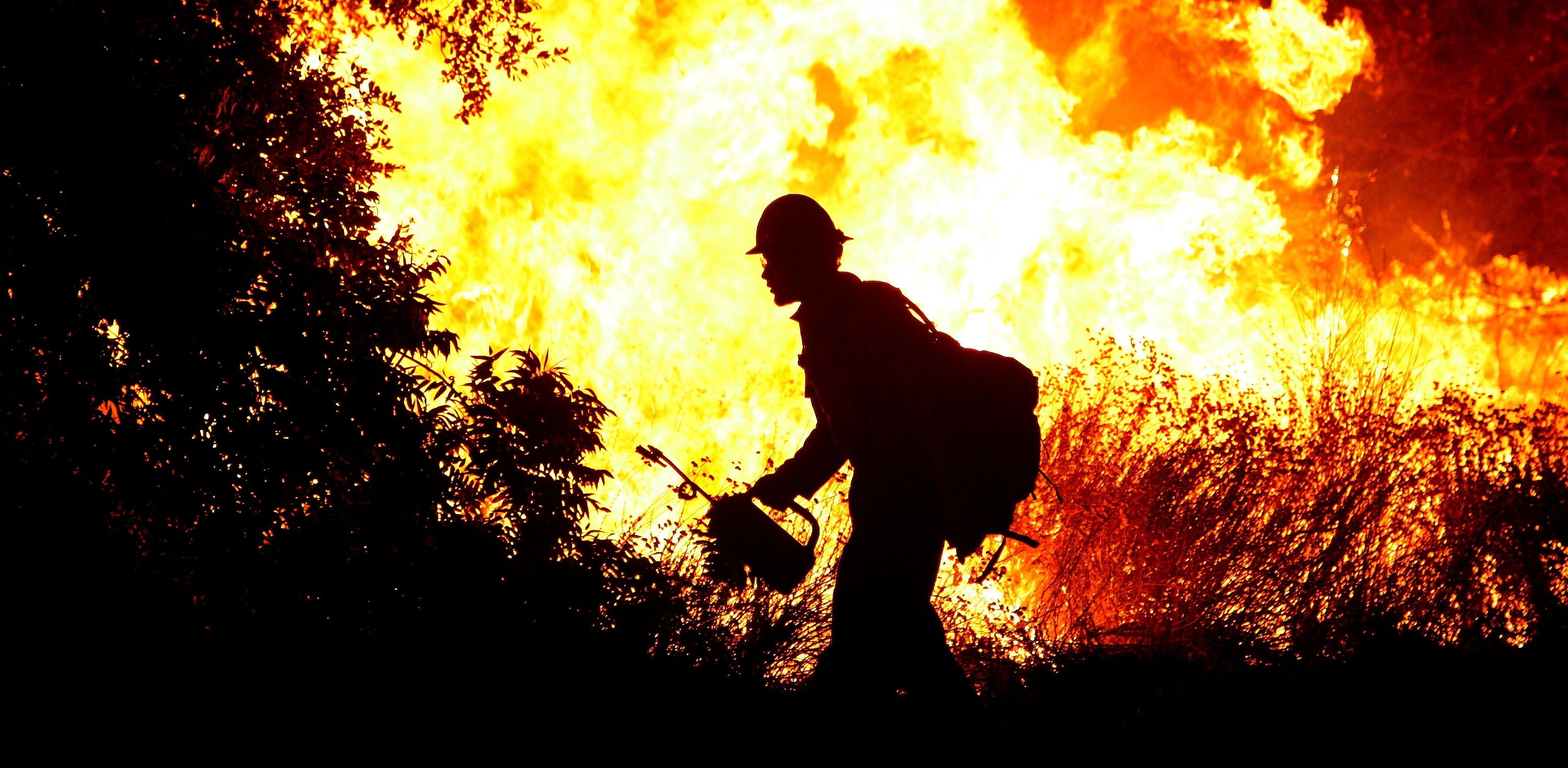 553366 скачать картинку мужчины, пожарный, огонь, лес - обои и заставки бесплатно