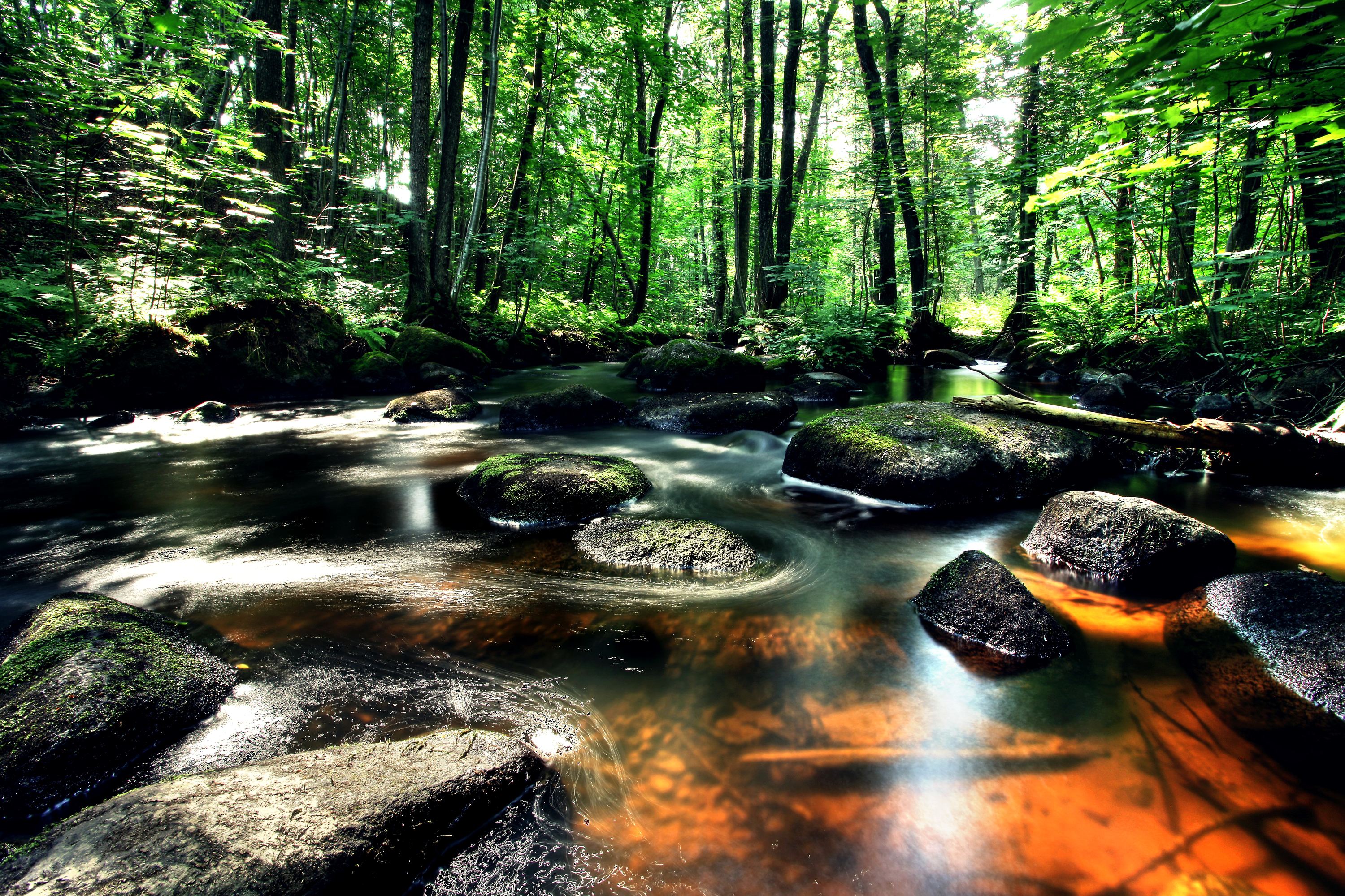Free download wallpaper Water, Forest, Earth, Stream on your PC desktop