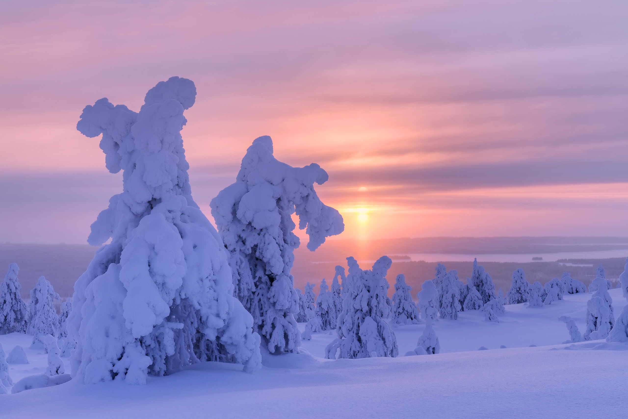 PCデスクトップに風景, 冬, 自然, 雪, 日の出, 地球画像を無料でダウンロード