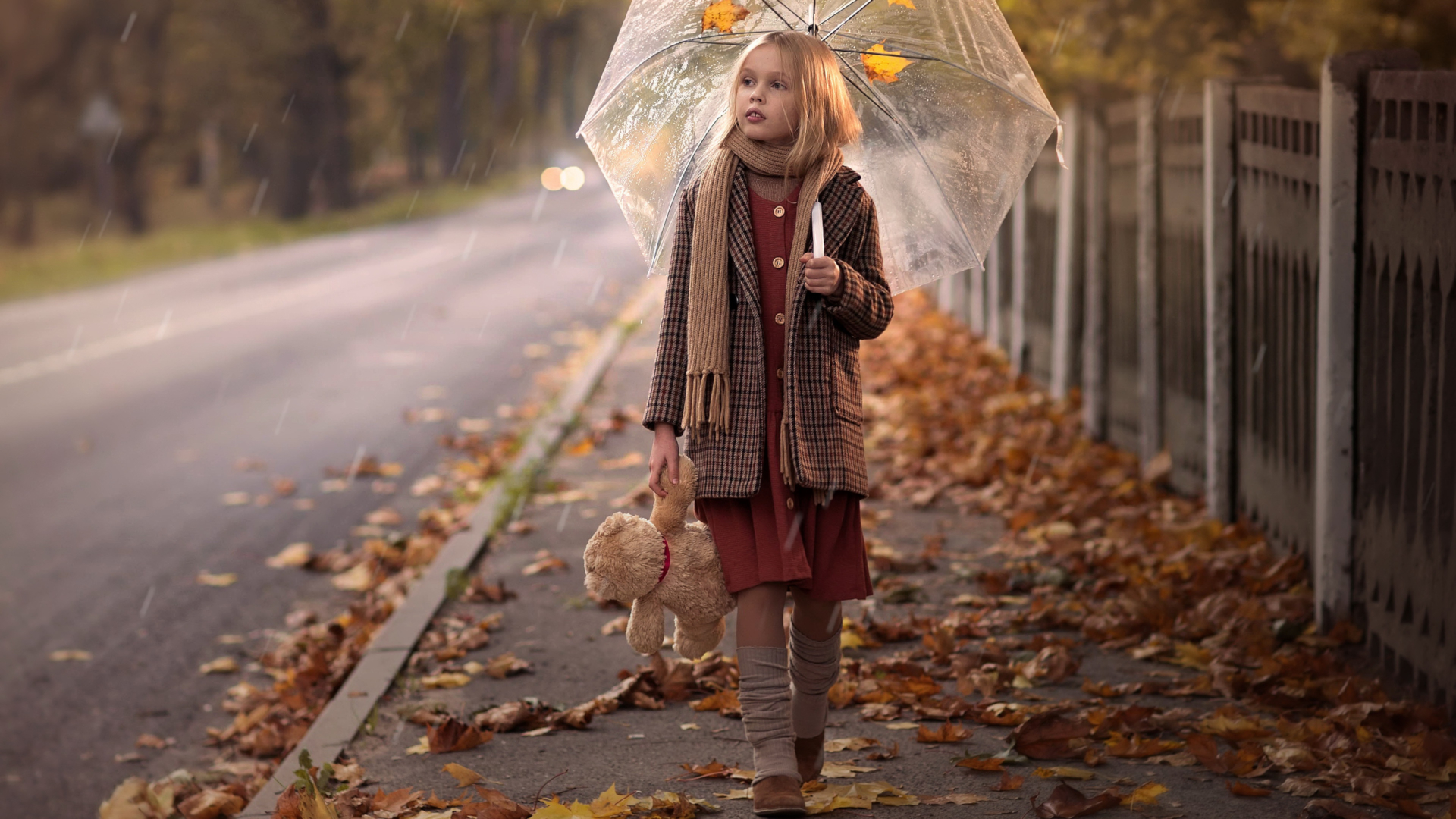 Baixar papel de parede para celular de Outono, Guarda Chuva, Criança, Fotografia gratuito.