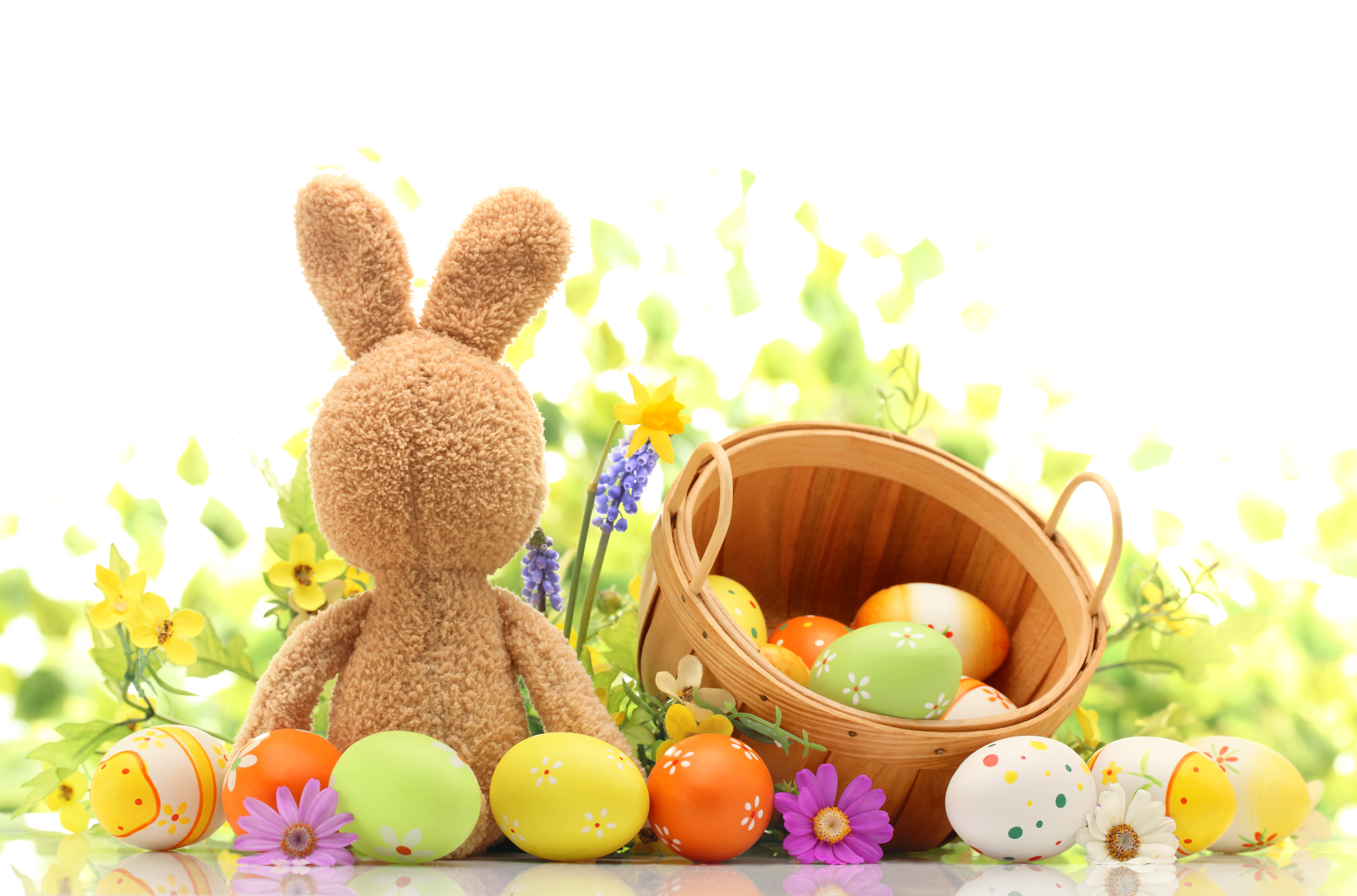 Laden Sie das Feiertage, Ostern, Blume, Bunt, Hase, Kuscheltier, Osterei-Bild kostenlos auf Ihren PC-Desktop herunter