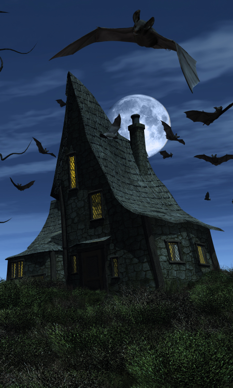 Download mobile wallpaper Night, Moon, Dark, House, Bat, Haunted House for free.