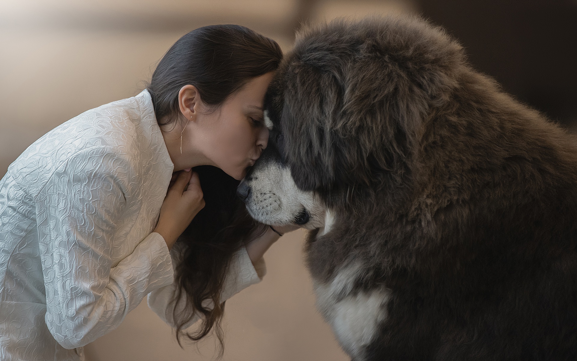 Handy-Wallpaper Hund, Stimmung, Kuss, Frauen, Tibetischer Mastiff kostenlos herunterladen.