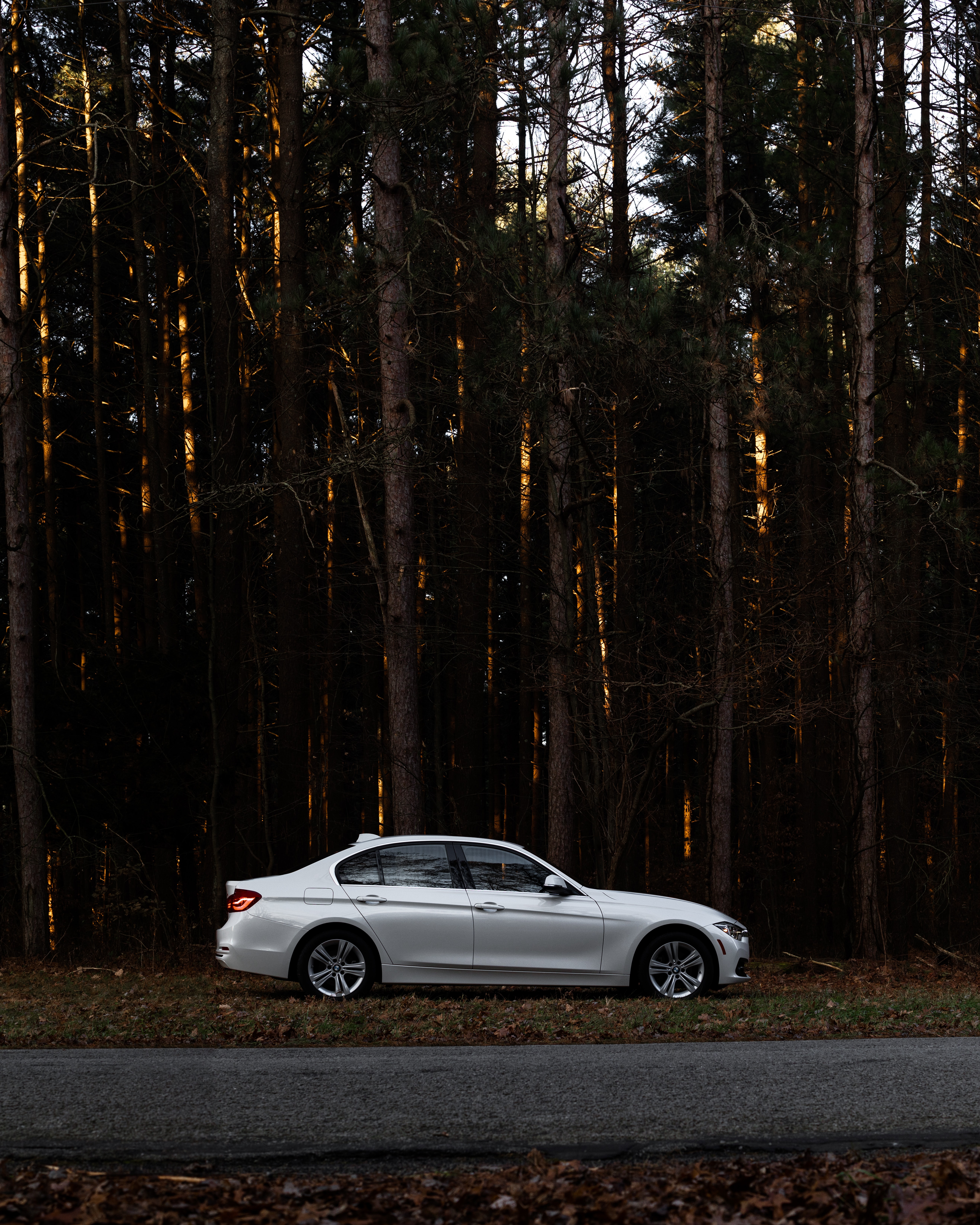 Download mobile wallpaper Side View, Cars, Machine, Car, Forest for free.
