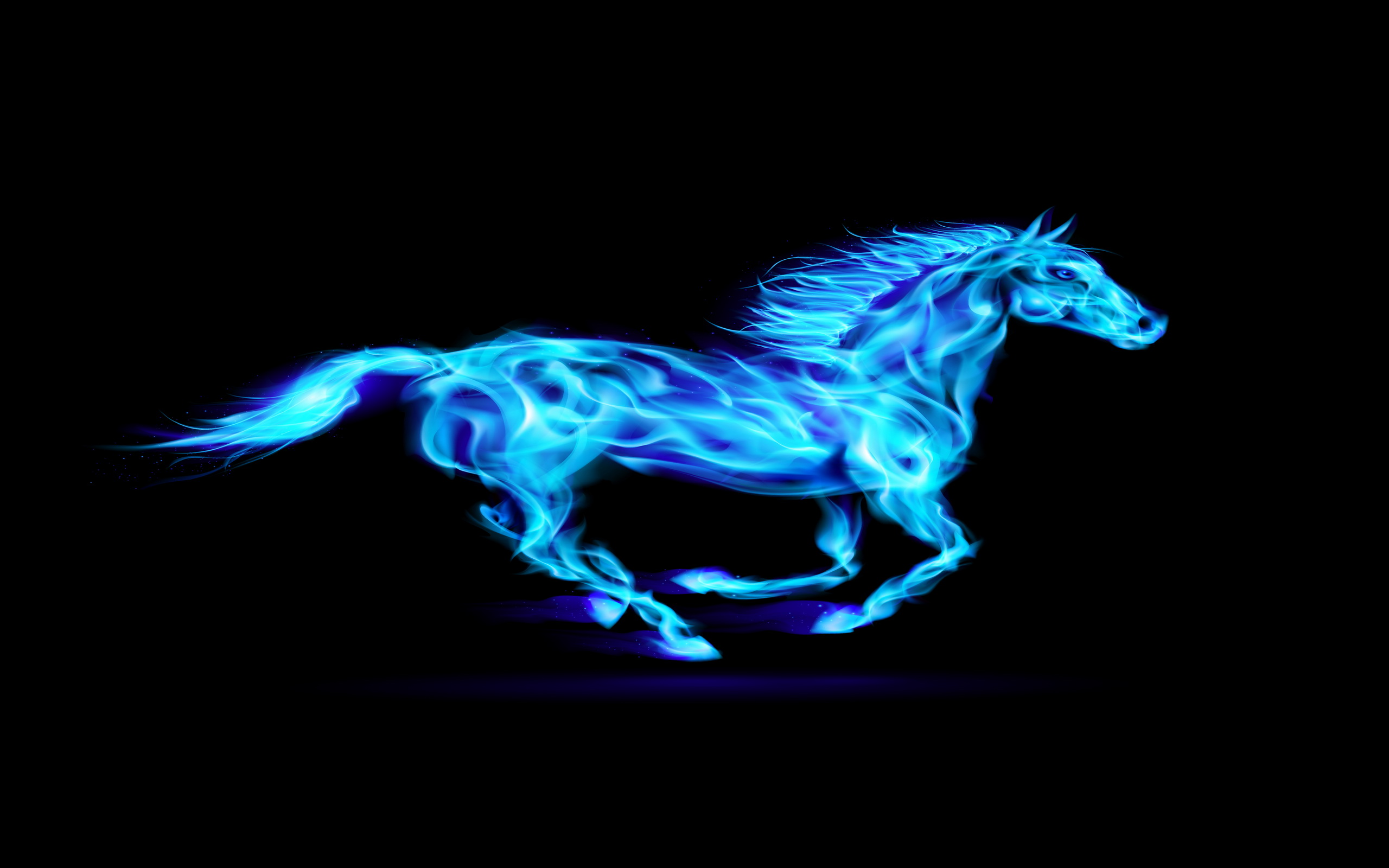 Download mobile wallpaper Animal, Horse for free.