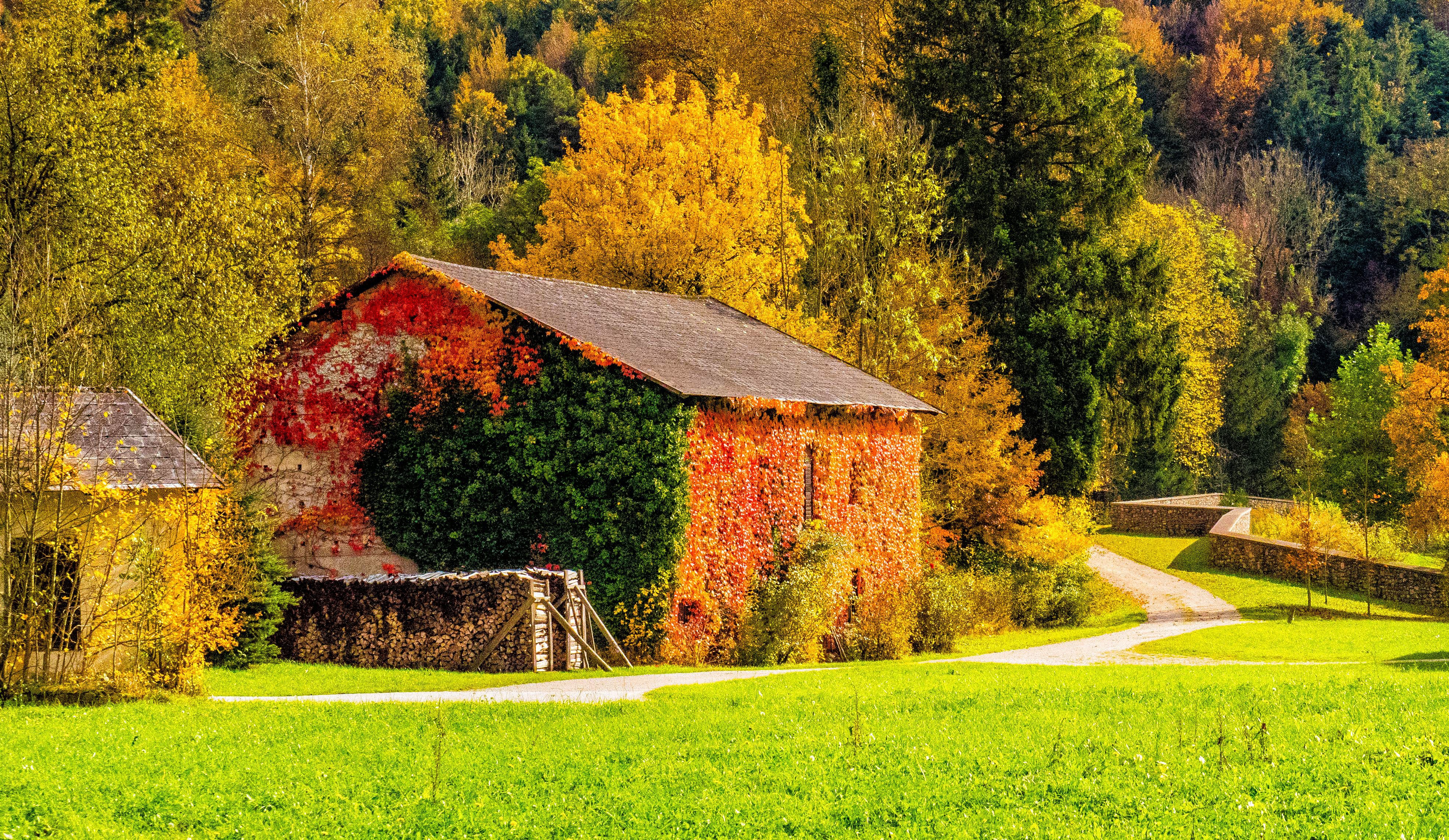 Handy-Wallpaper Natur, Bäume, Gebäude, Grass, Herbst kostenlos herunterladen.
