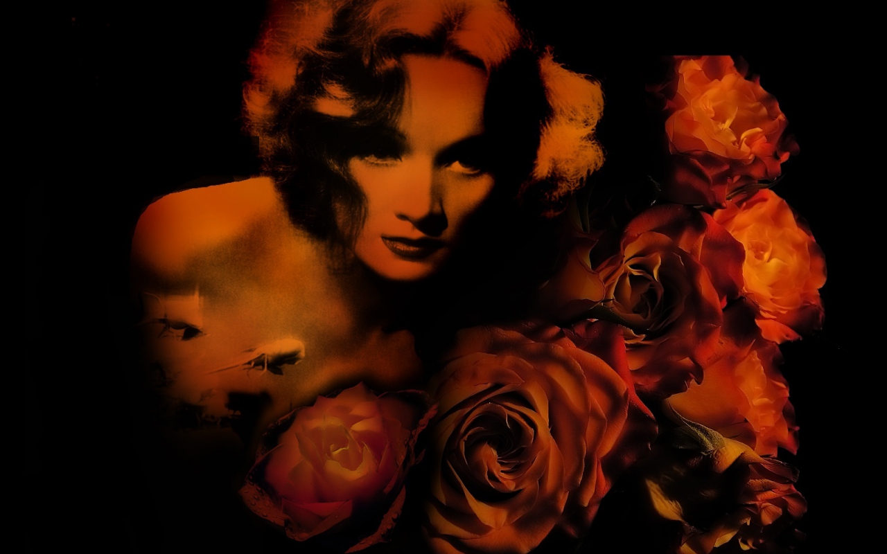 1464507 Fondos de pantalla e Marlene Dietrich imágenes en el escritorio. Descarga protectores de pantalla  en tu PC gratis