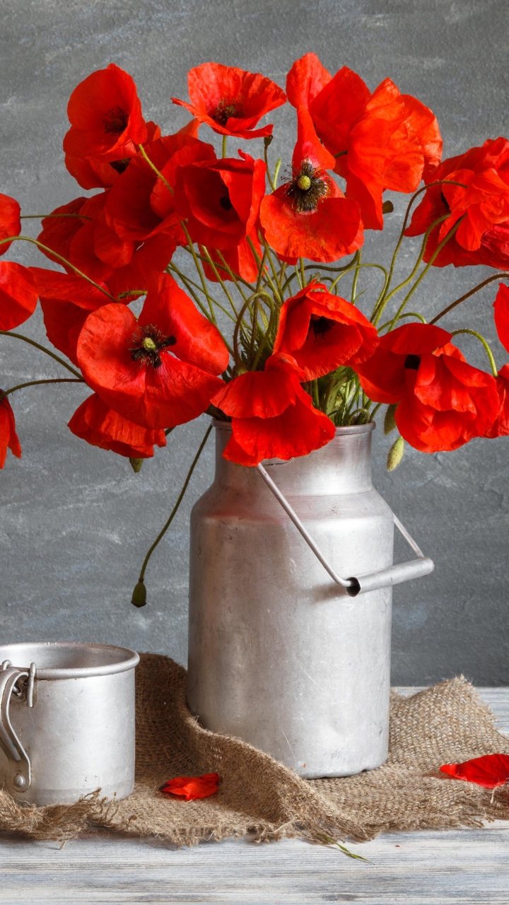 Descarga gratuita de fondo de pantalla para móvil de Flor, Amapola, Fotografía, Flor Roja, Bodegón.