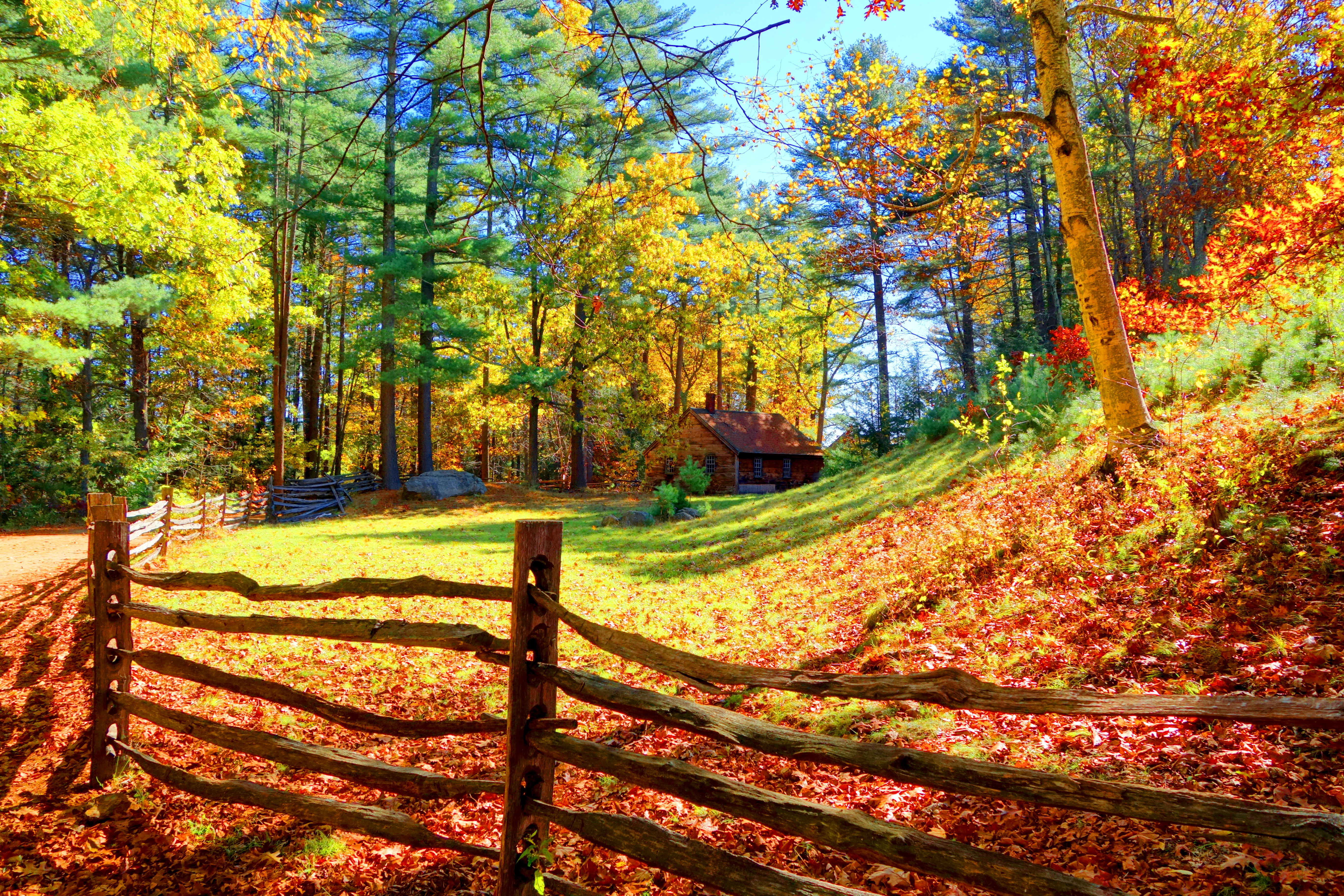 Laden Sie das Herbst, Baum, Haus, Zaun, Menschengemacht-Bild kostenlos auf Ihren PC-Desktop herunter