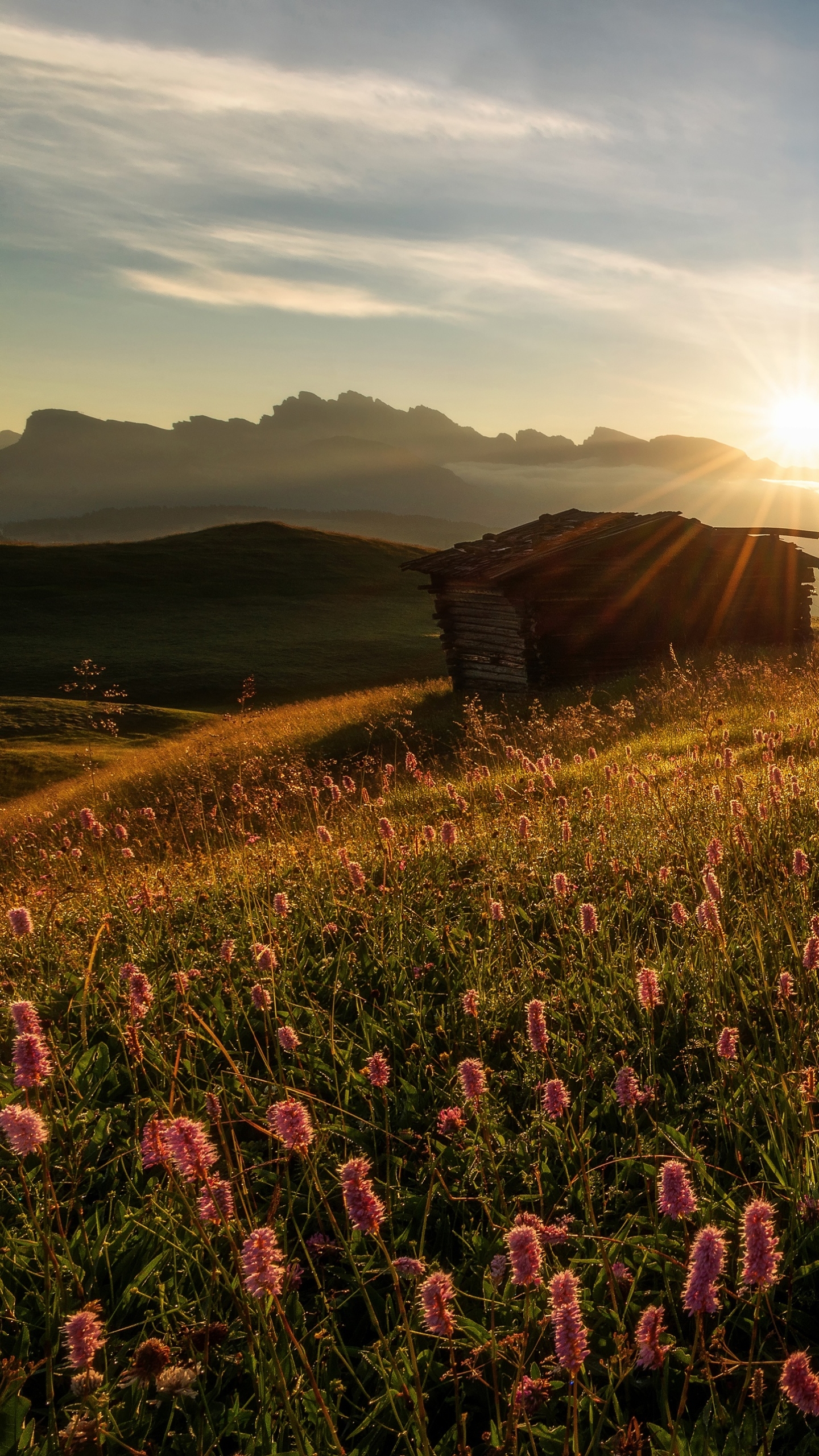 photography, landscape, meadow, dolomites, south tyrol, italy, morning