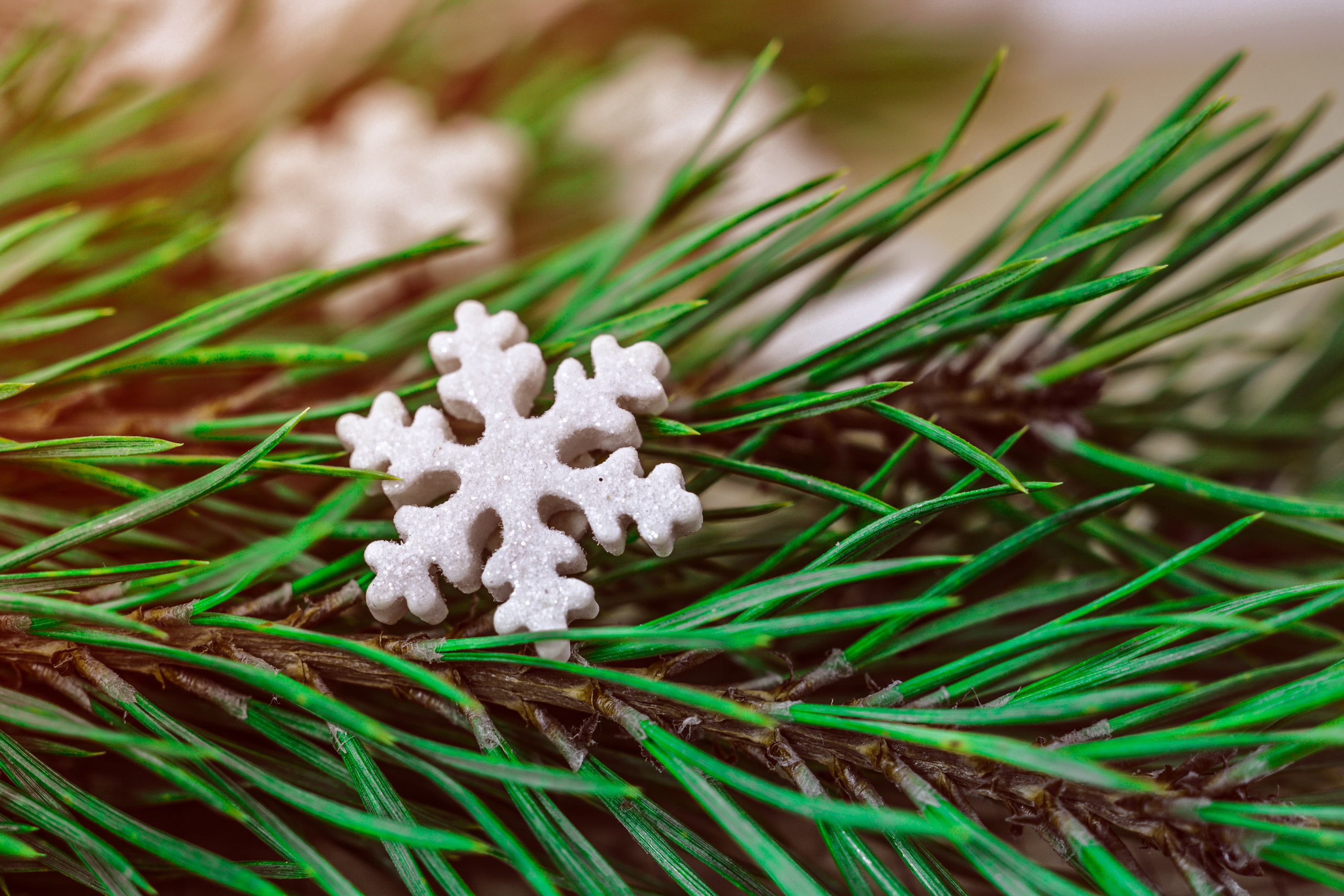 Free download wallpaper Spruce, Fir, Holidays, Snowflake, Christmas on your PC desktop