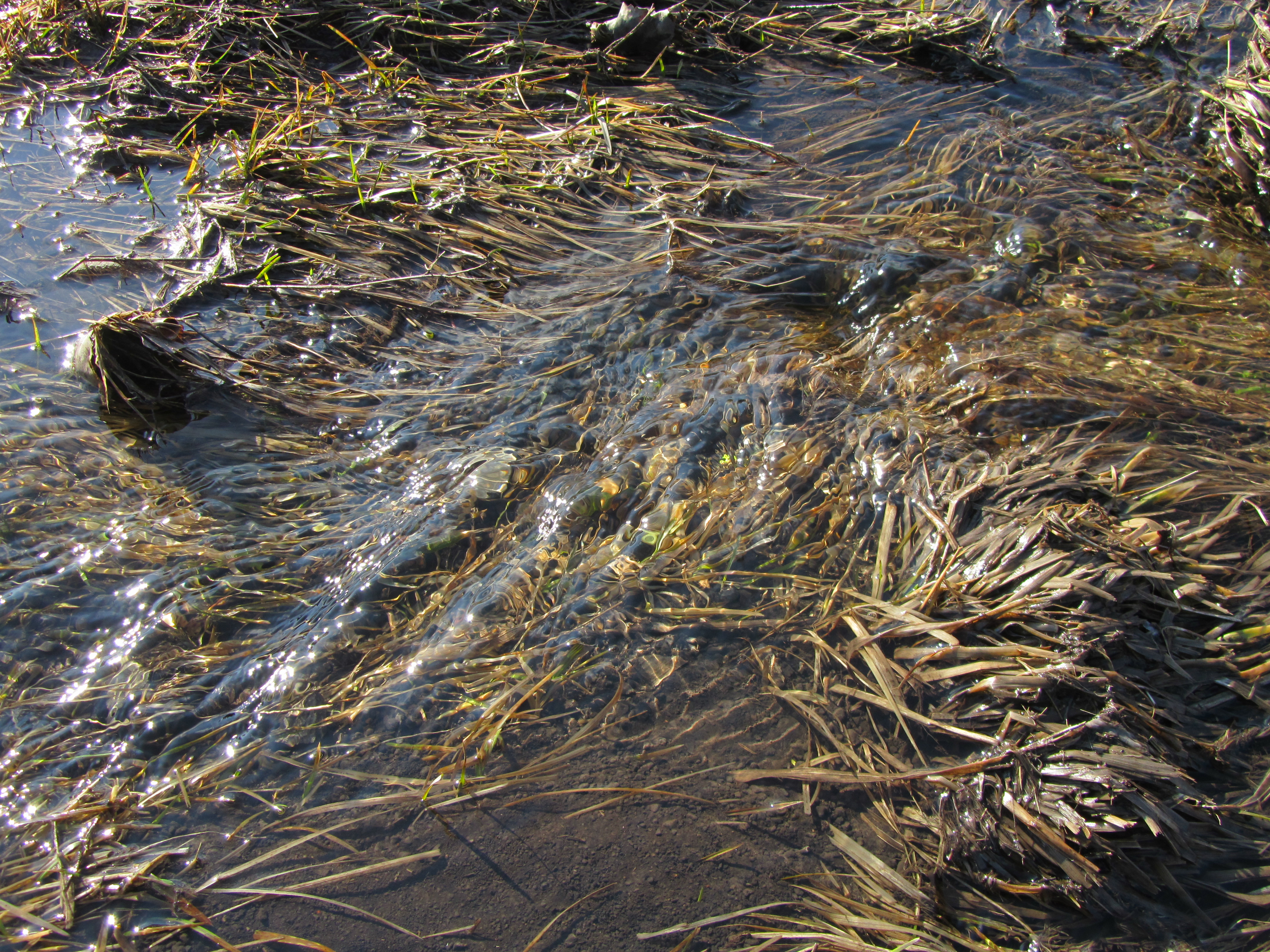 Скачати мобільні шпалери Вода, Земля безкоштовно.