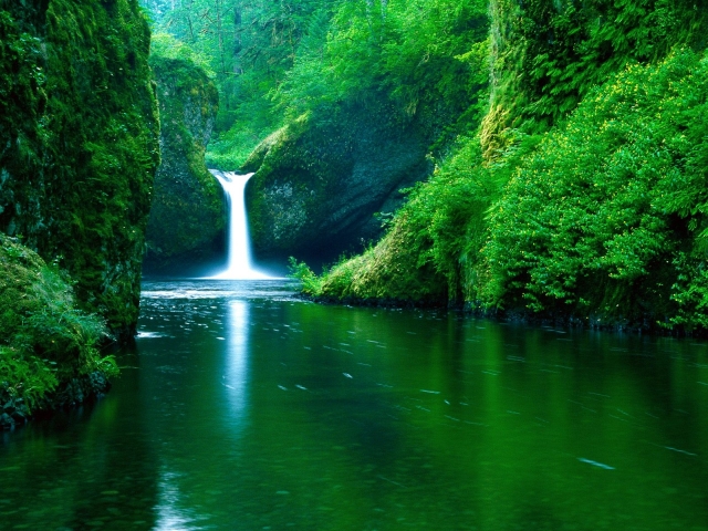 Download mobile wallpaper Nature, Water, Waterfalls, Waterfall, Earth, Greenery for free.