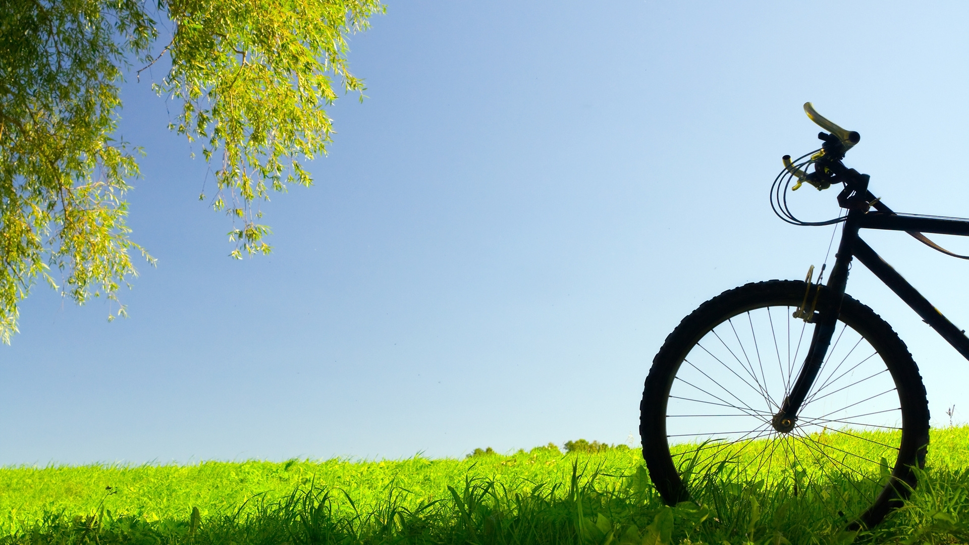 48656 скачать картинку велосипеды, транспорт, пейзаж, синие - обои и заставки бесплатно