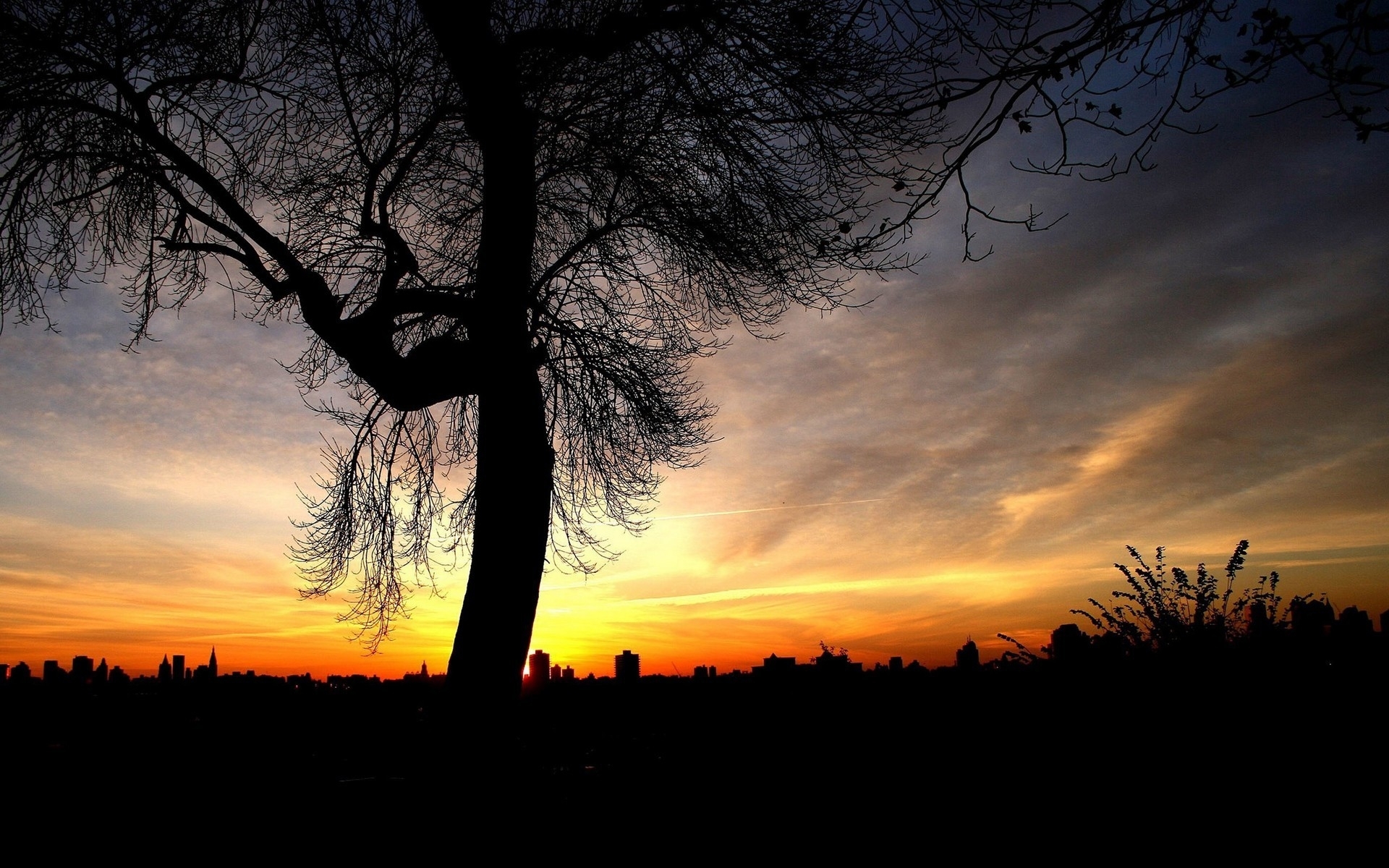 Laden Sie das Bäume, Landschaft, Sunset-Bild kostenlos auf Ihren PC-Desktop herunter